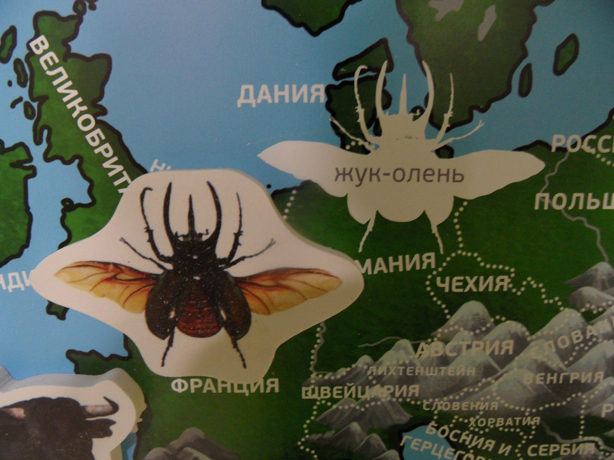 Unfun zoogeography for children - My, Animals, Geography, Cards, Contact zoo, Error, Longpost, Yekaterinburg