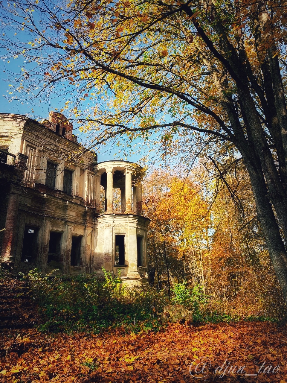 Pavlishchevo Estate - My, Nature, Autumn, Foliage, beauty, Pavlishchev Bor Estate, Manor, Longpost