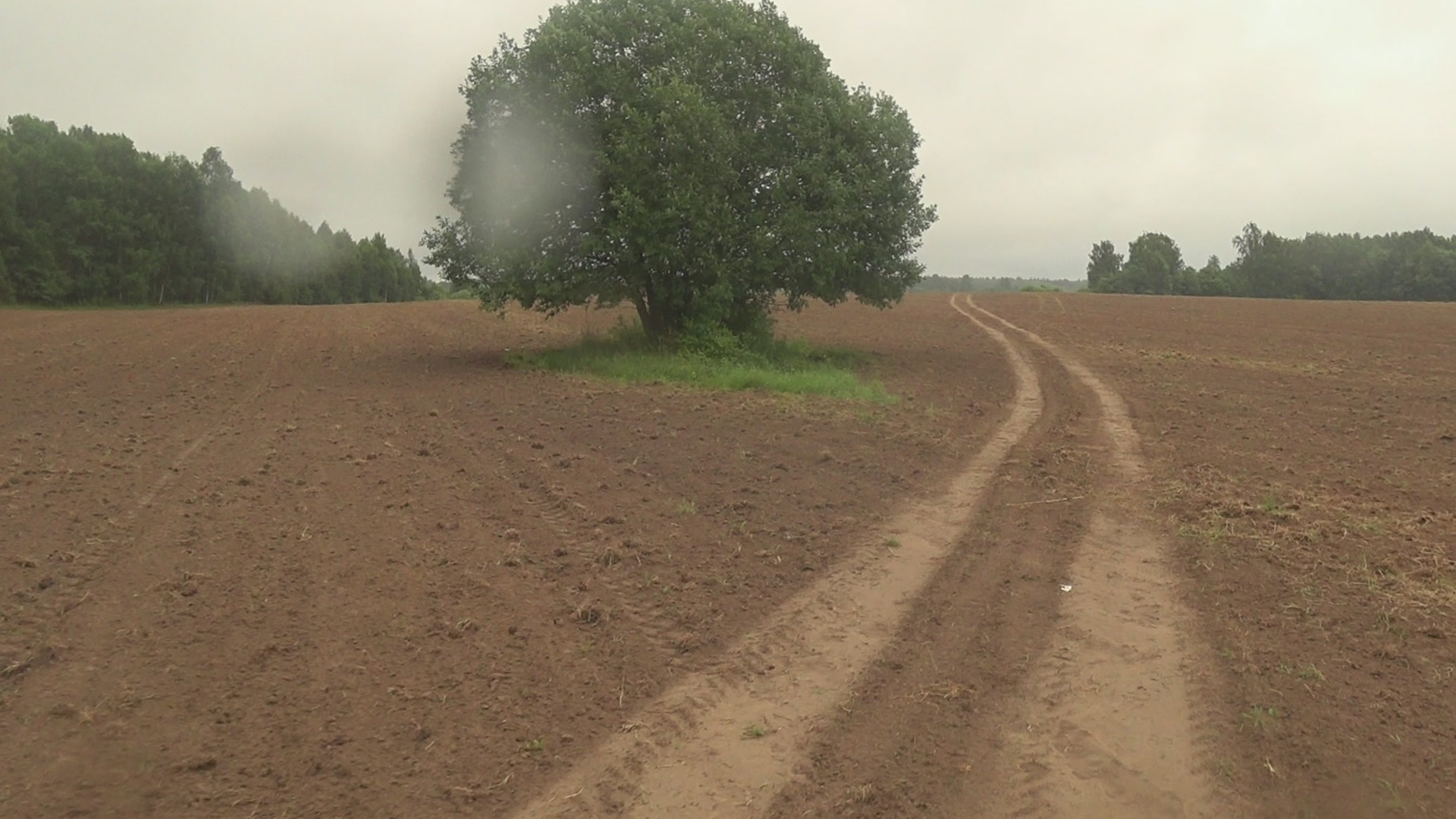 Remembering summer: PVD2D Reshetnikovo - Novopetrovskaya - My, Weekend travel, PVD, A bike, Bicycles, Moscow region, Video, Longpost