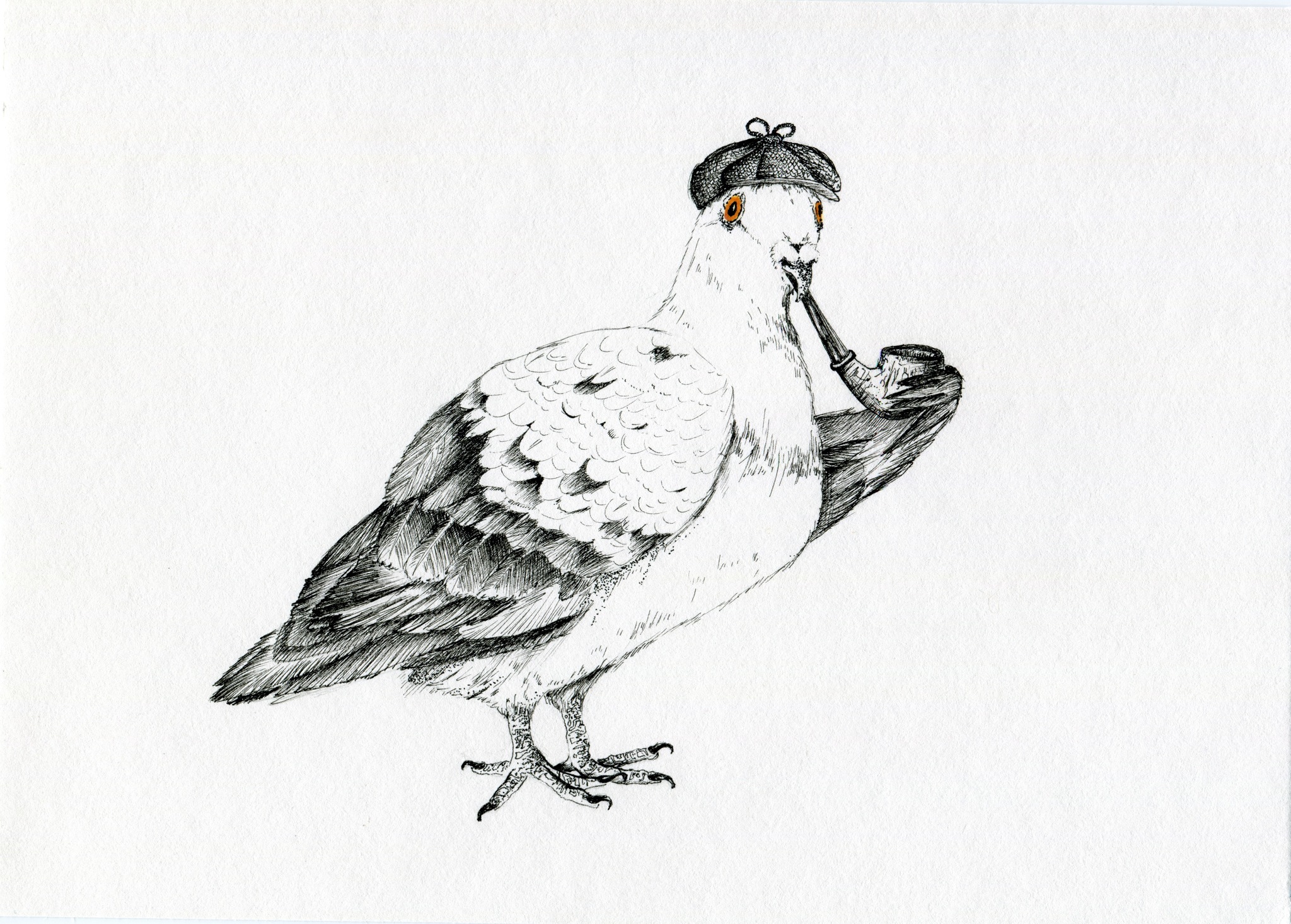 Dove Holmes - My, Pigeon, Birds, Animals, Art, Graphics, Painting, Drawing, Humor, Artist, Creation, Illustrations, Art, Sherlock Holmes