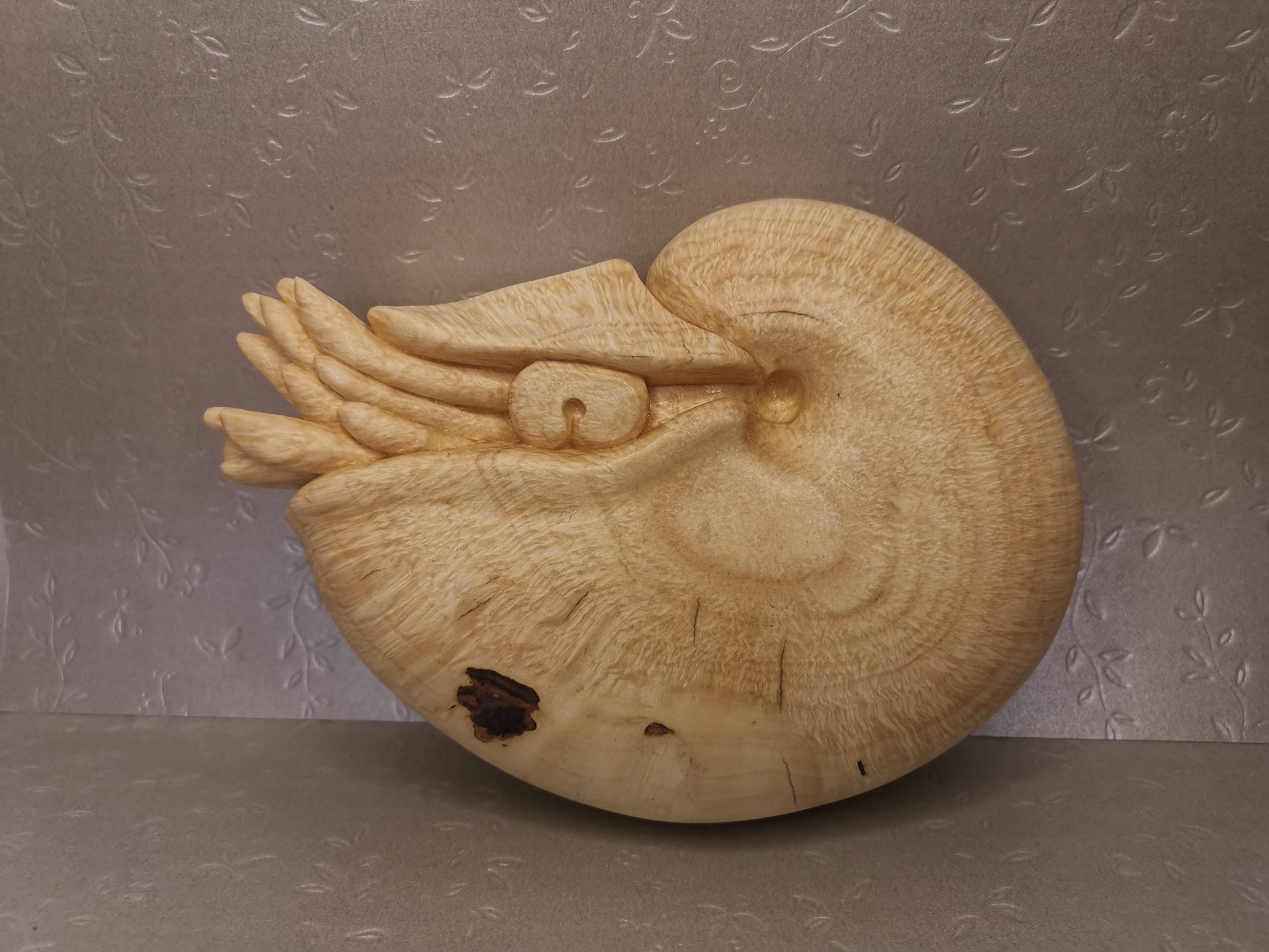 Marine theme again - My, A fish, Nautilus, Wood carving, Interesting, Tools, Nature, Life stories