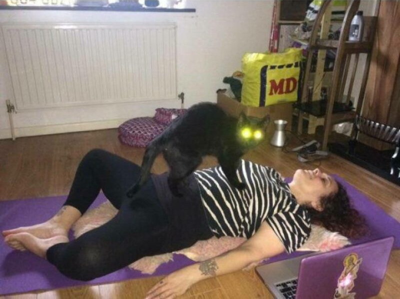 Rare photograph showing how black cats steal a human soul - cat, Women, Eyes, Kripota