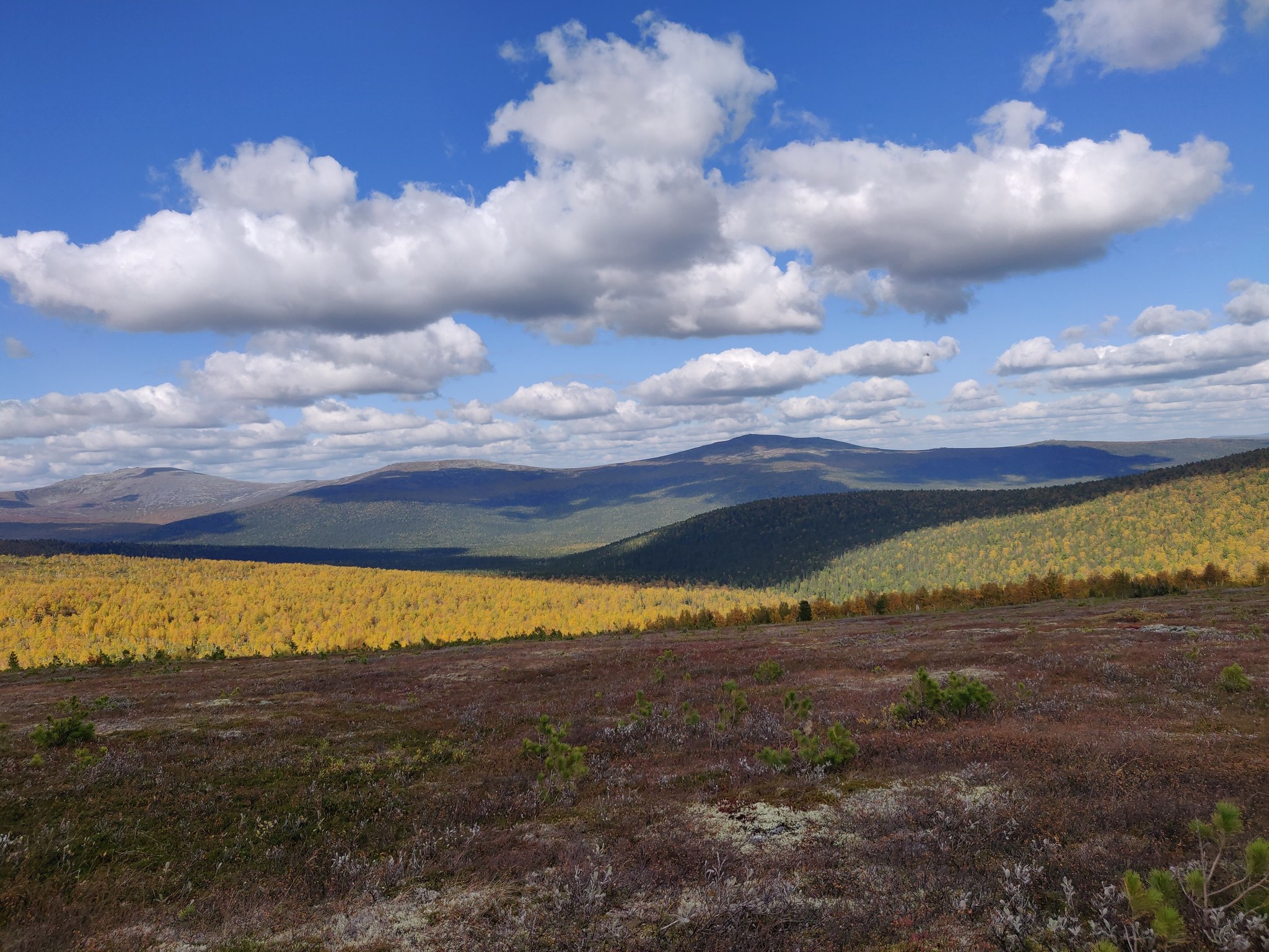 Northern Urals in the Dyatlov Pass area - My, Hike, The photo, Northern Ural, Nature, The mountains, Dyatlov Pass, Longpost