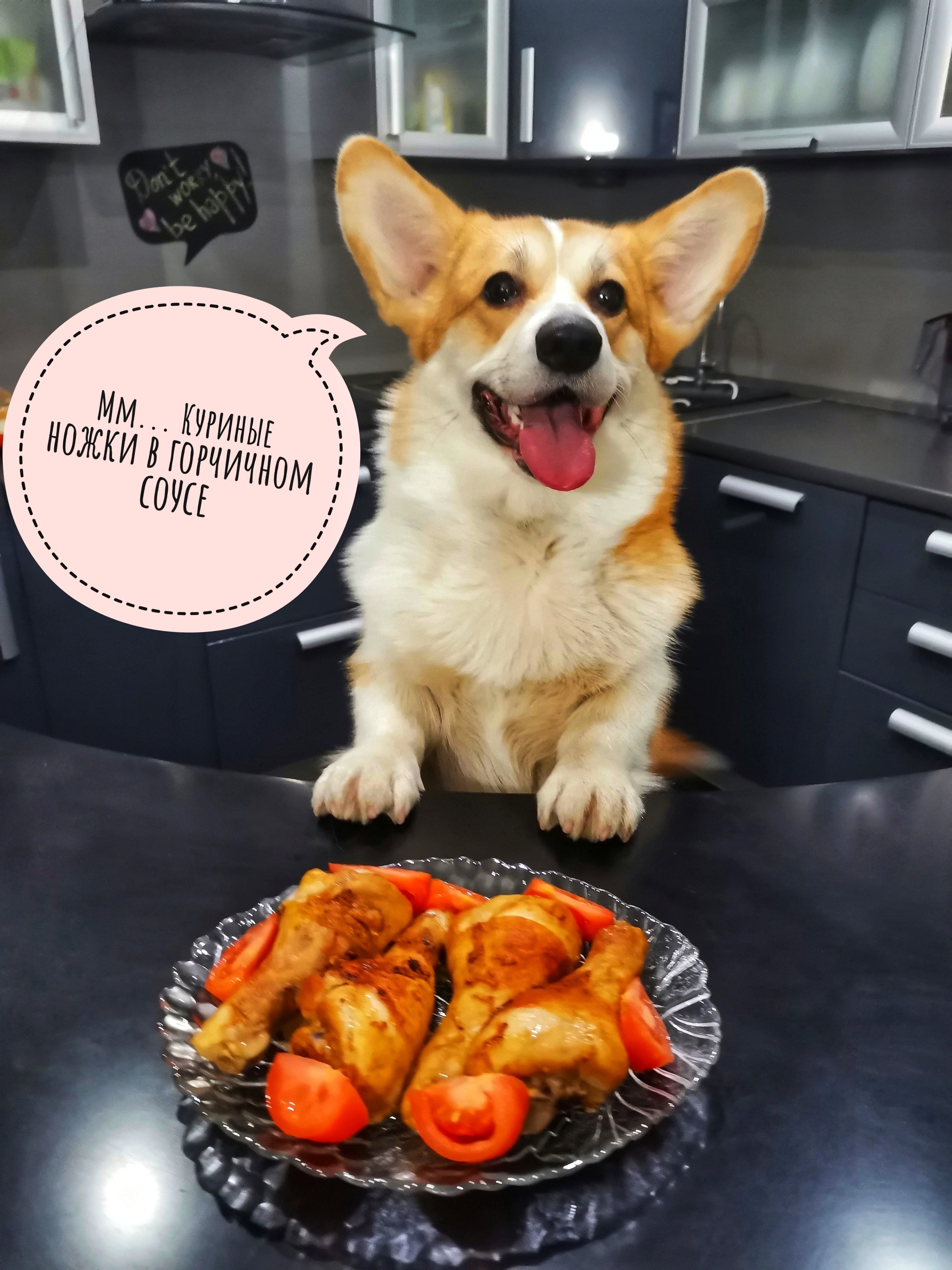 Cooking with corgi. Chicken legs in mustard sauce - My, Hen, Corgi, Cooking, League of Cooking, Yummy, Longpost, Recipe, Chicken legs, Chicken recipes