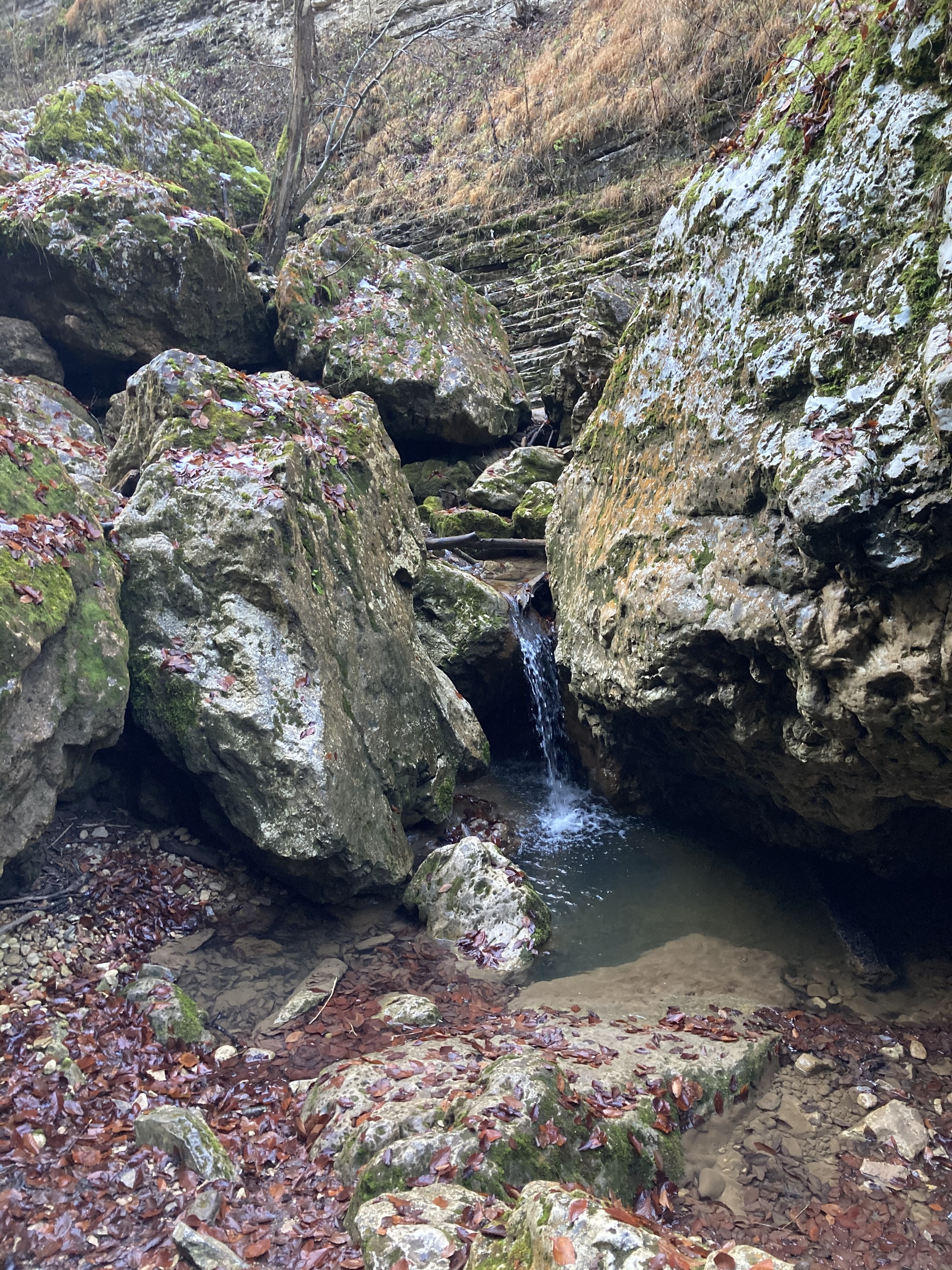 Rufabgo - My, Nature, Rufabgo Falls, The photo, Forest, Longpost