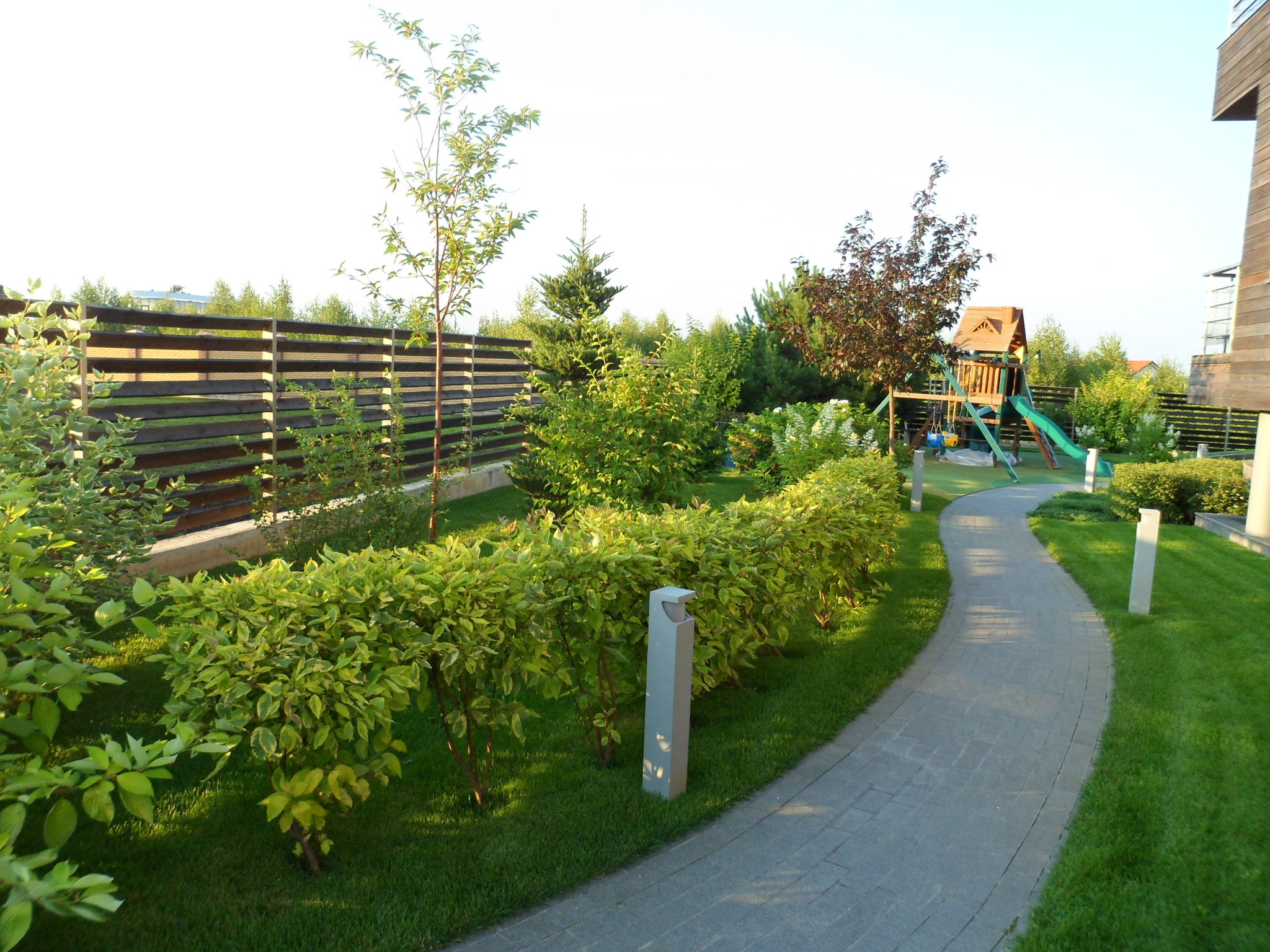 Landscaping of the site (photos from planting to today) - My, Landscaping, Landscape design, The photo, Longpost