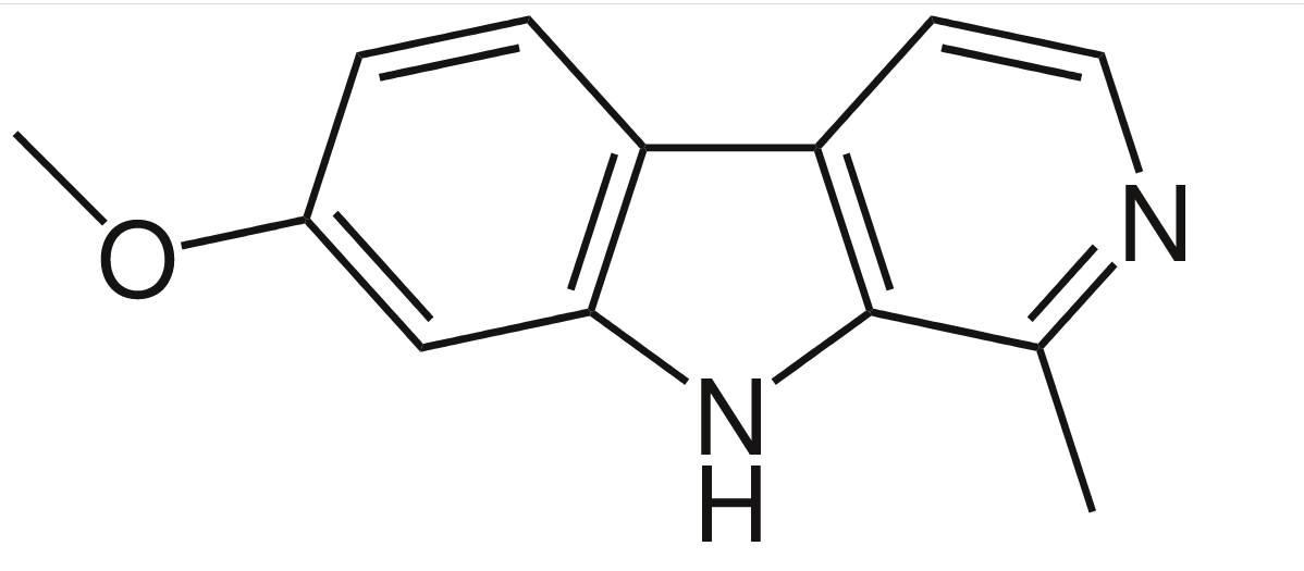 The 5 most ancient drugs. What did Stone Age people do? - My, The science, Story, Chemistry, Biology, Drugs, Stone Age, Plants, Hallucinogens, Mescaline, Marijuana, Psilocybin, Betel, Lotus, Longpost