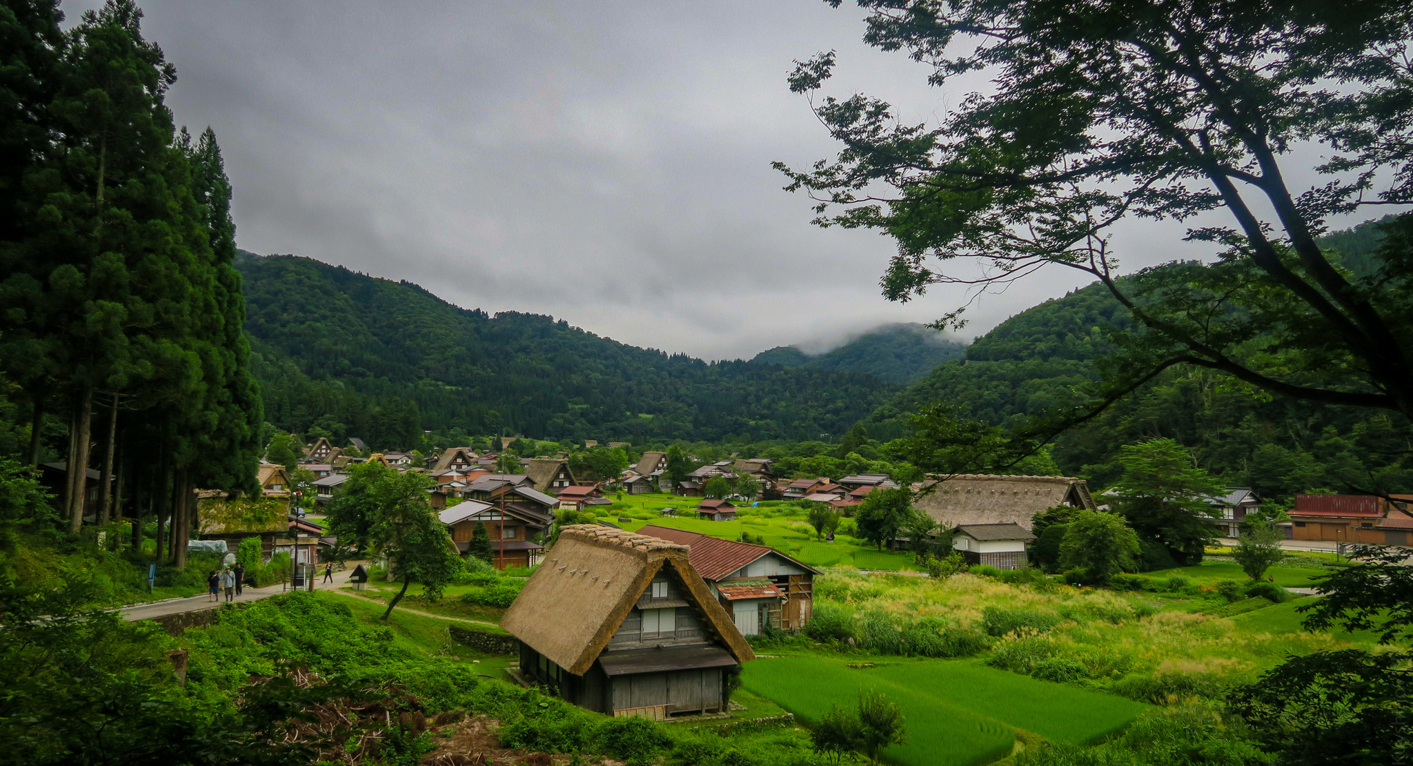 День девятый. Префектура Gifu. Сказка в Gujo.Часть 1 - Моё, Япония, Велосипедист, Путешествия, Длиннопост