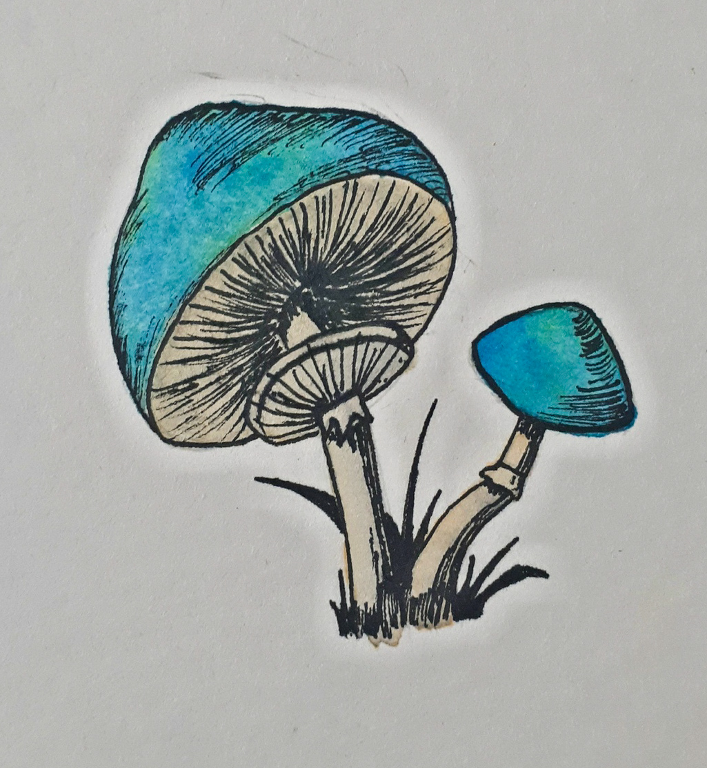 Watercolor and liners - My, Drawing, Watercolor, Liner, Mushrooms, Chanterelles, Longpost