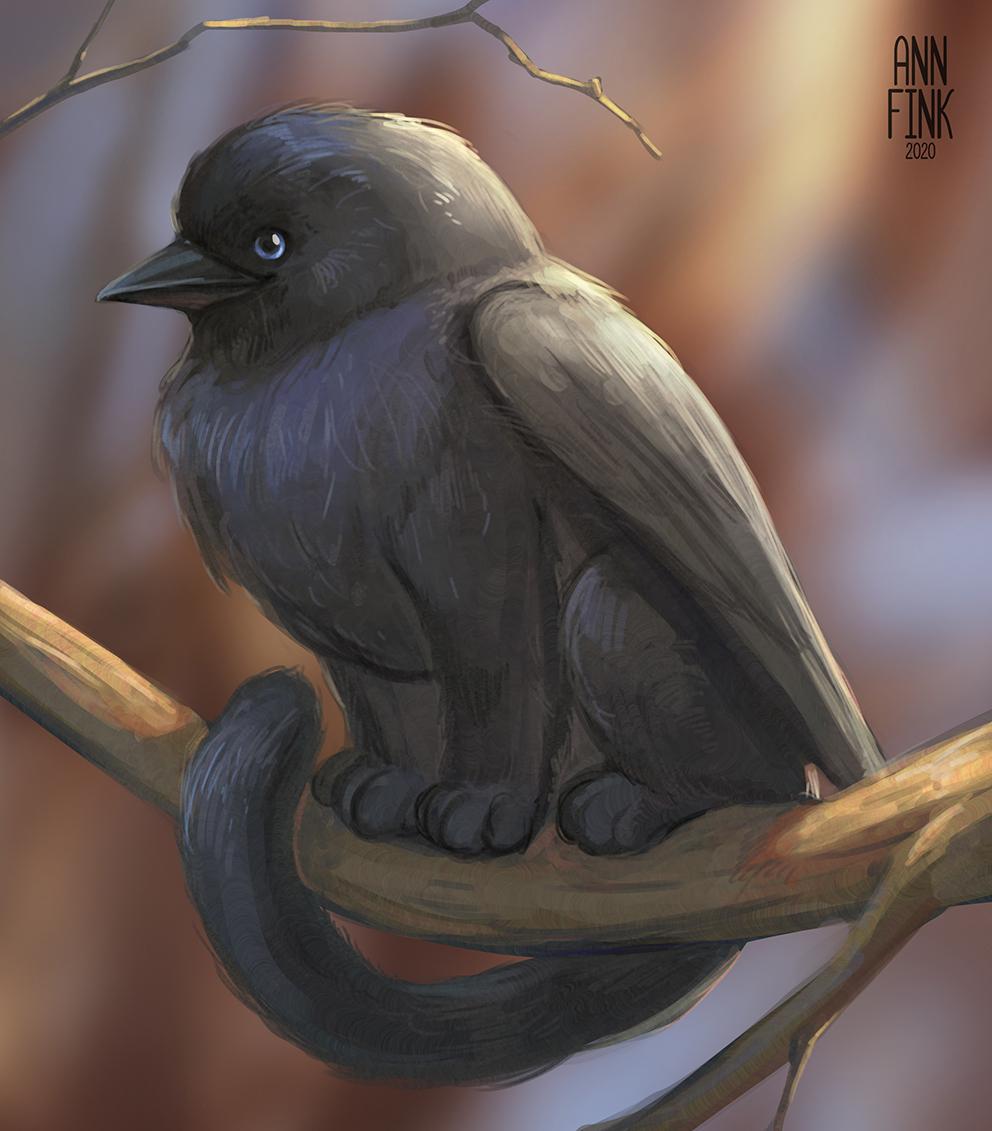 Reply to the post Coloeus monedula - My, The photo, Birds, Nikon, Zoom, The park, Jackdaw, Crow, Griffin, Art, Sketch, Fantasy, Urban fantasy, Reply to post