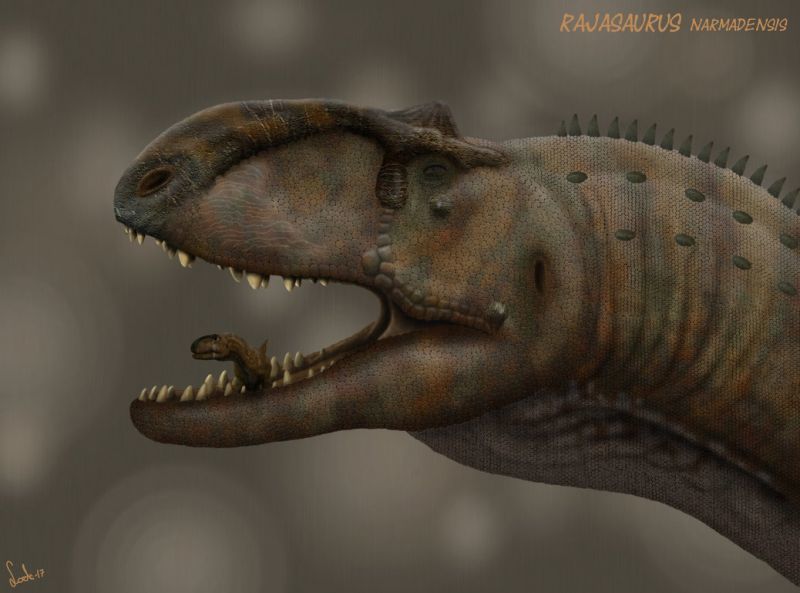 Раджазавр (лат. Rajasaurus narmadensis) | Пикабу