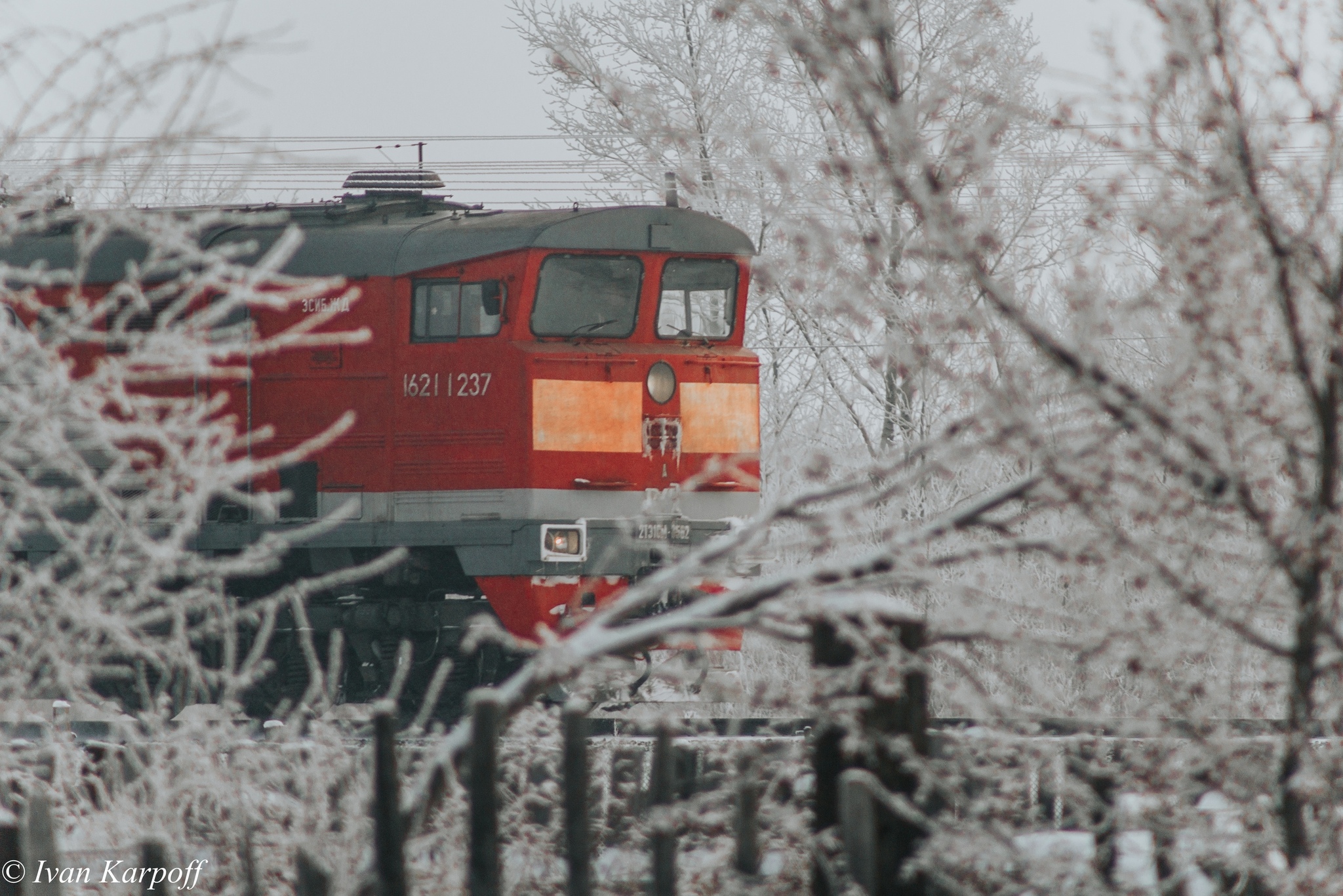 Winter in the village - My, The photo, Nature, Village, Winter, Snow, Animals, Longpost, cat