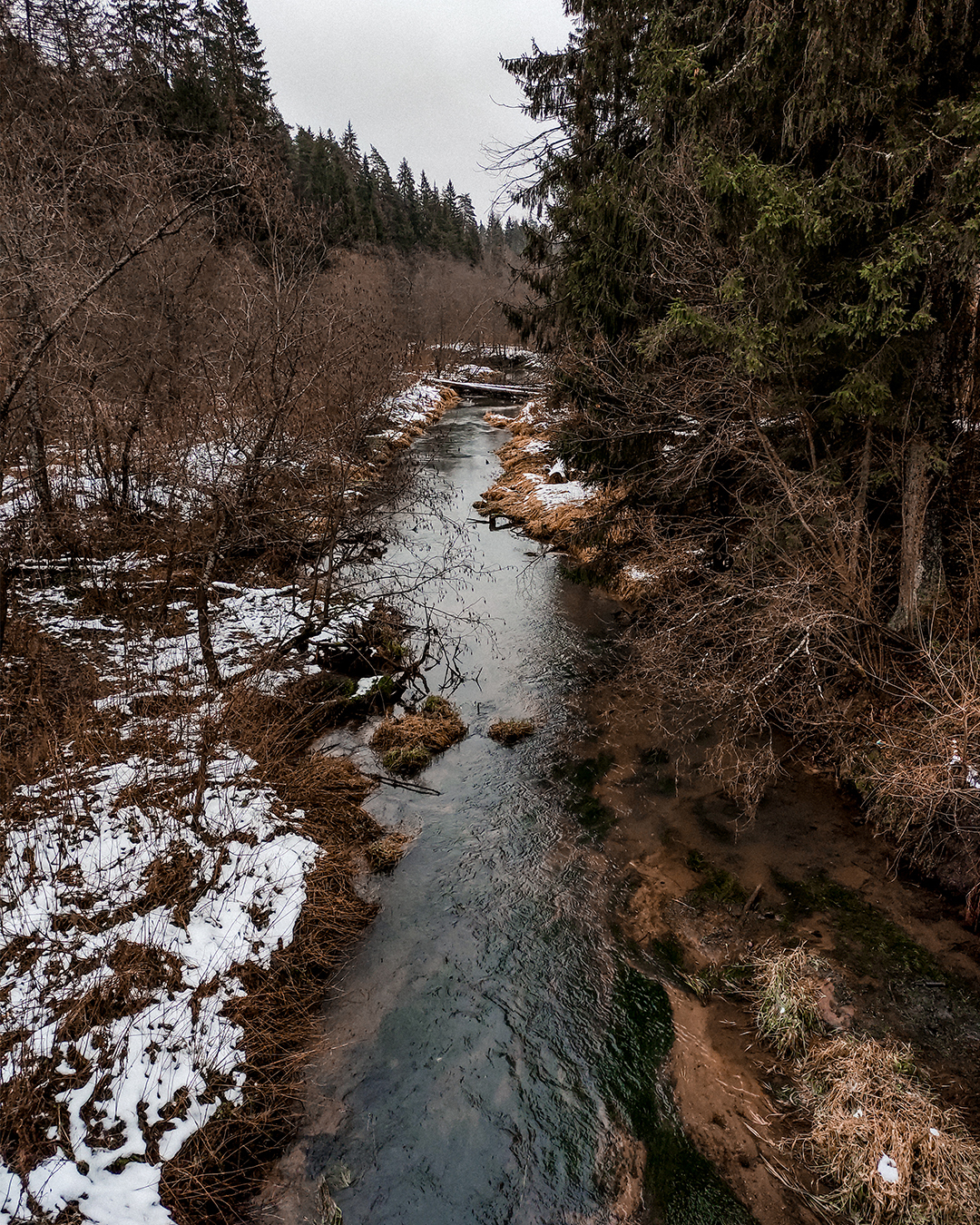 Forest River Low Poly - My, Low poly, 3D, Art, Isometric, River, Computer graphics, Longpost