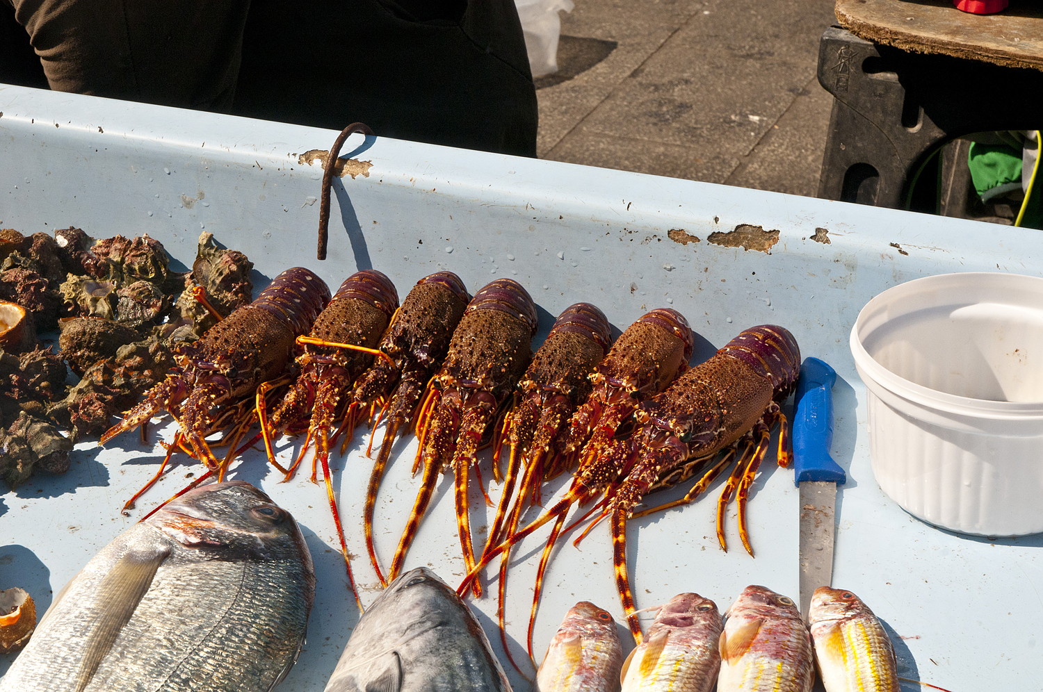 Marseille, France (part two) - My, France, Marseilles, City hall, A fish, Longpost, Market