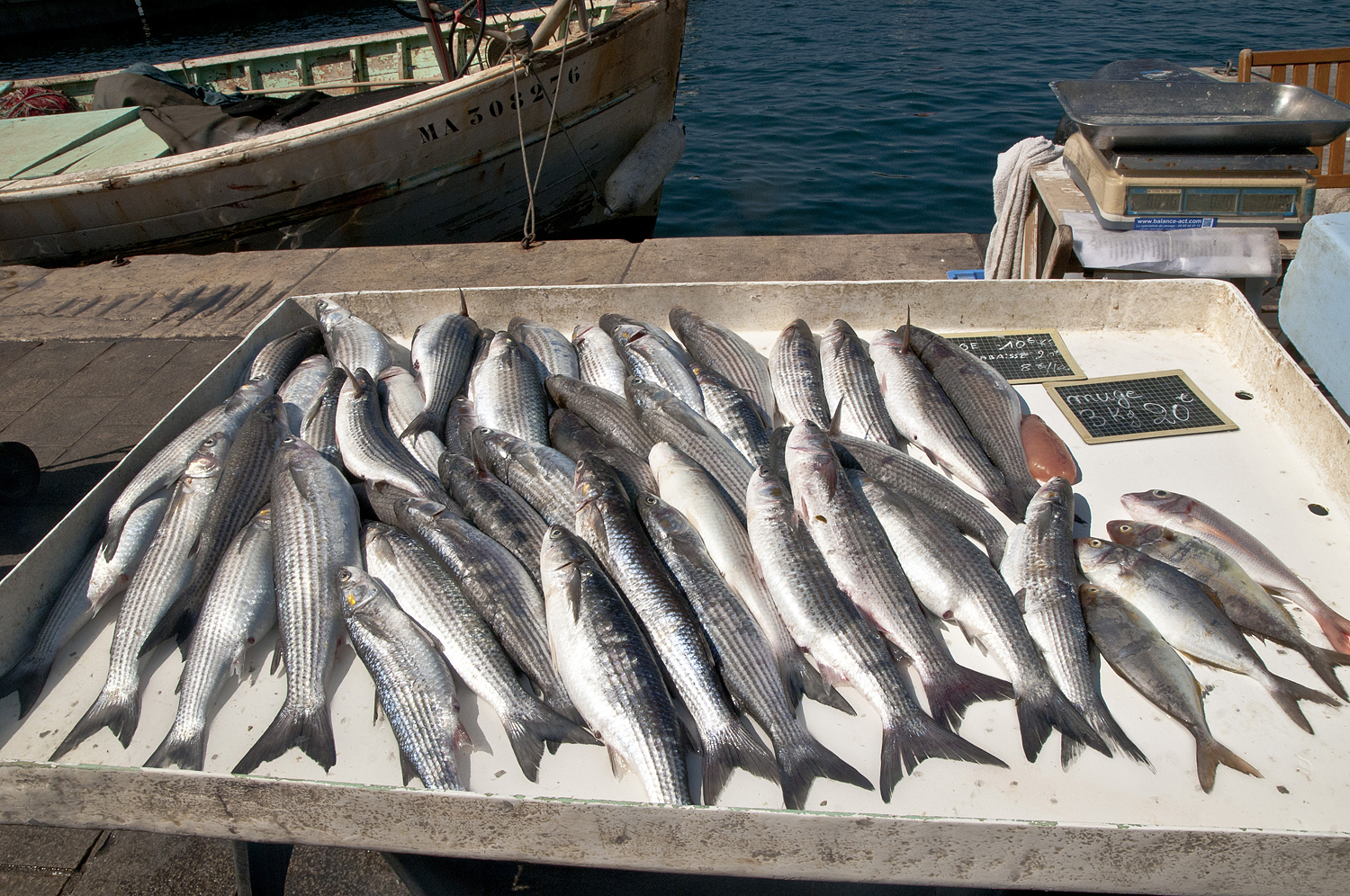 Marseille, France (part two) - My, France, Marseilles, City hall, A fish, Longpost, Market