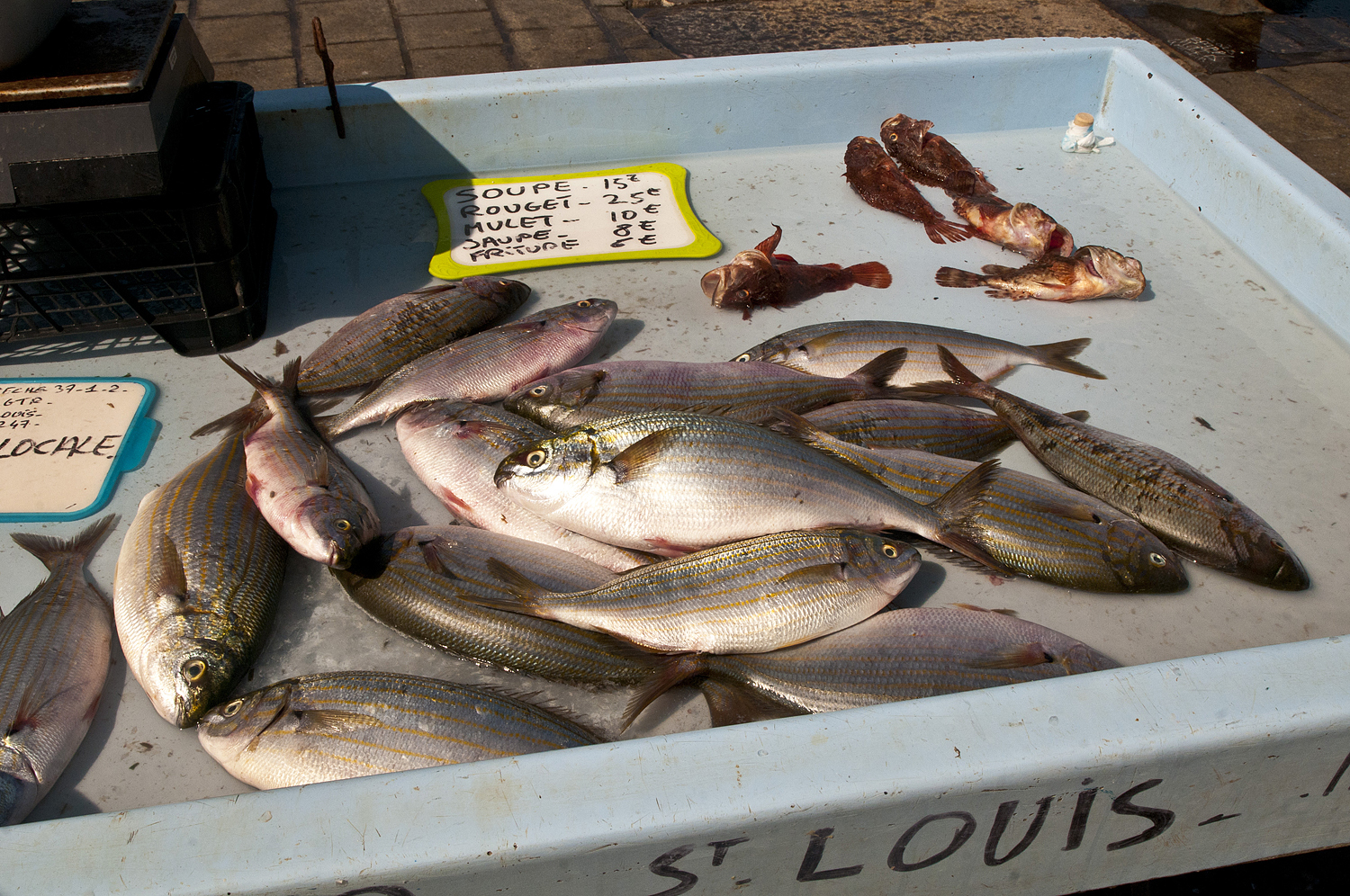 Marseille, France (part two) - My, France, Marseilles, City hall, A fish, Longpost, Market