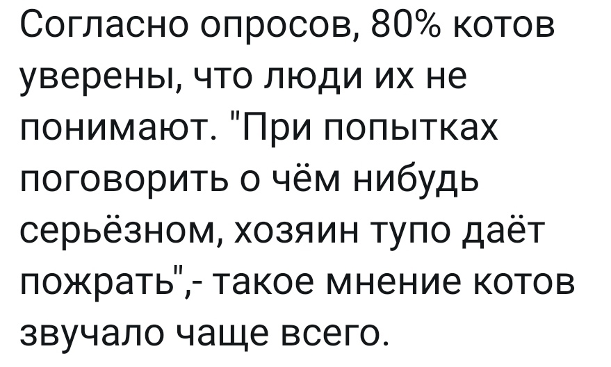 Левада-центр сообщает - Опрос, Кот, Недопонимание, Картинка с текстом