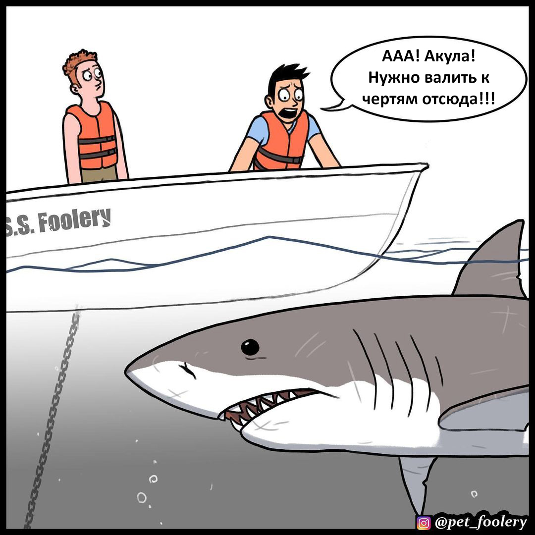 Stereotypes about sharks - Comics, Humor, Pet foolery, Longpost, Shark, Stereotypes