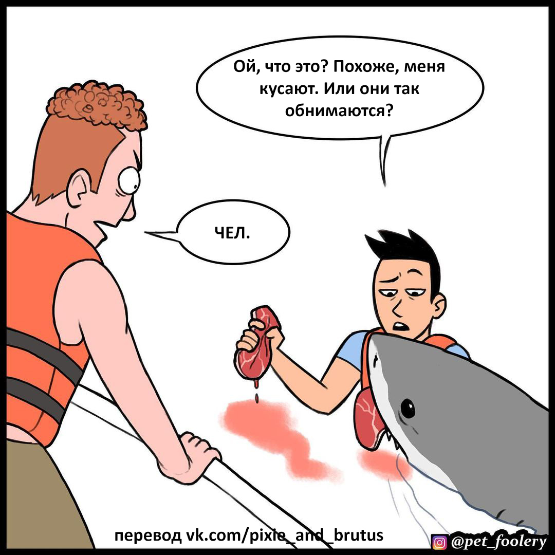 Stereotypes about sharks - Comics, Humor, Pet foolery, Longpost, Shark, Stereotypes