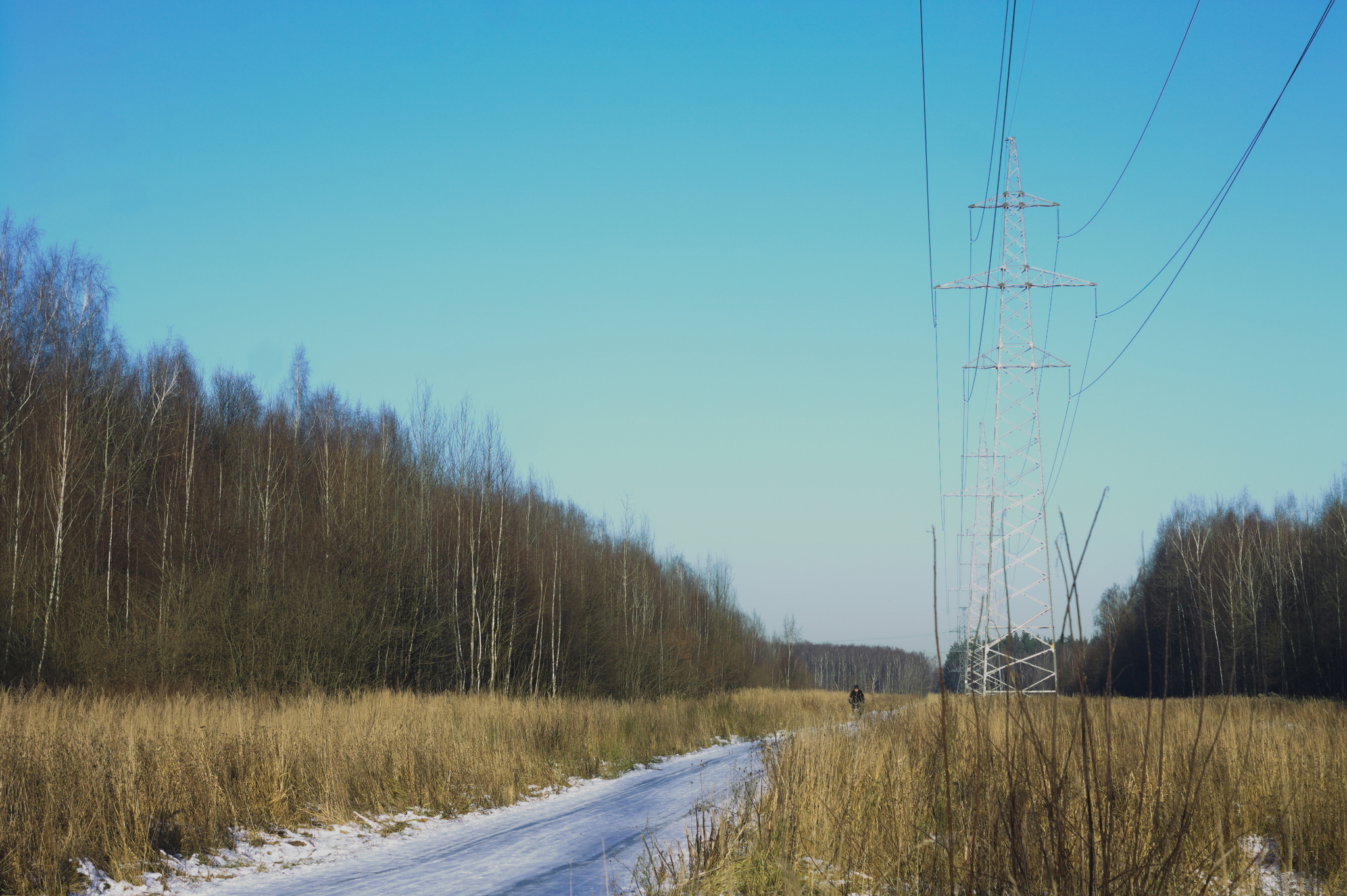 40 km of winter silence - My, A bike, PVD, Winter Bike, Winter, Moscow region, Video blog, Video, Longpost
