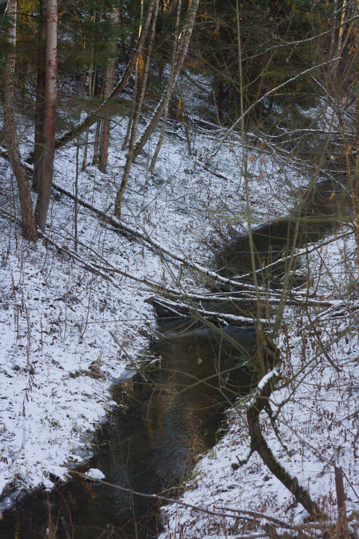 40 km of winter silence - My, A bike, PVD, Winter Bike, Winter, Moscow region, Video blog, Video, Longpost