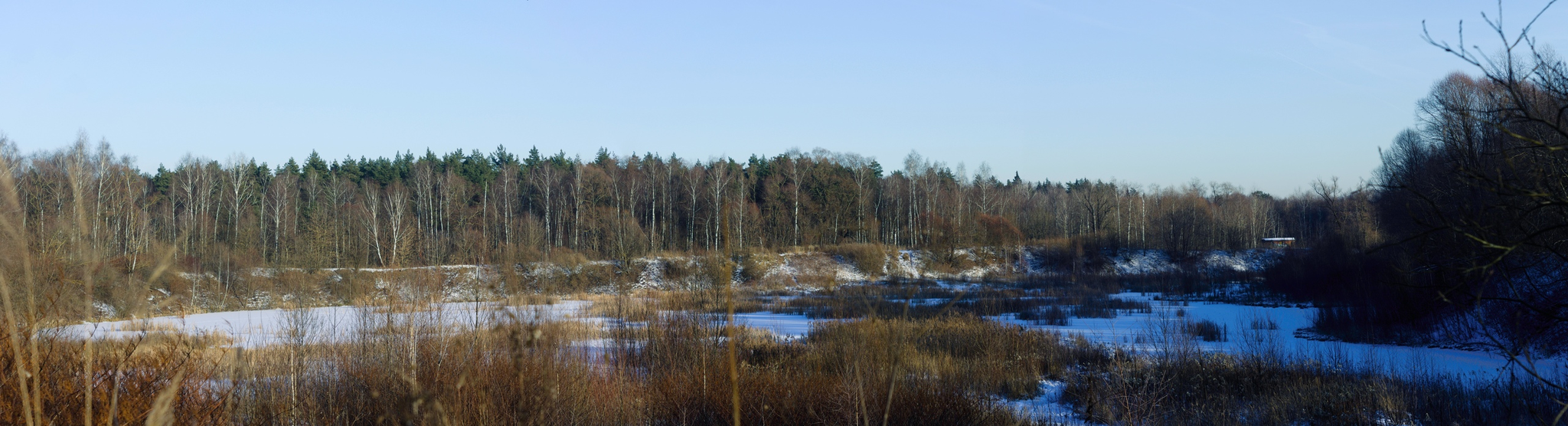 40 km of winter silence - My, A bike, PVD, Winter Bike, Winter, Moscow region, Video blog, Video, Longpost