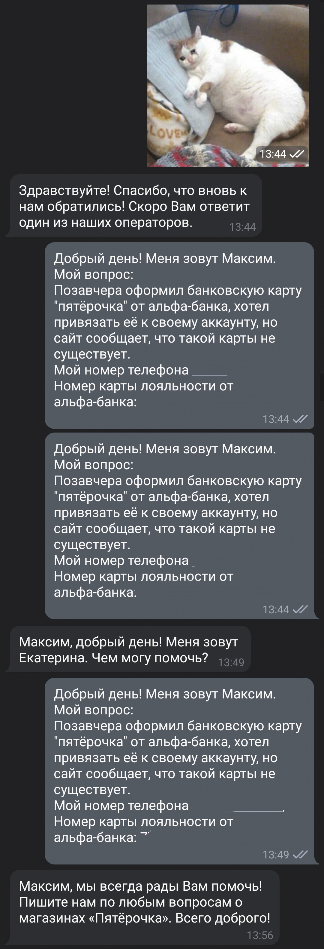 Как Пятёрочка помогает решить проблемы - Служба поддержки, Пятерочка, Бот, Негатив, Длиннопост, Переписка, Жалоба