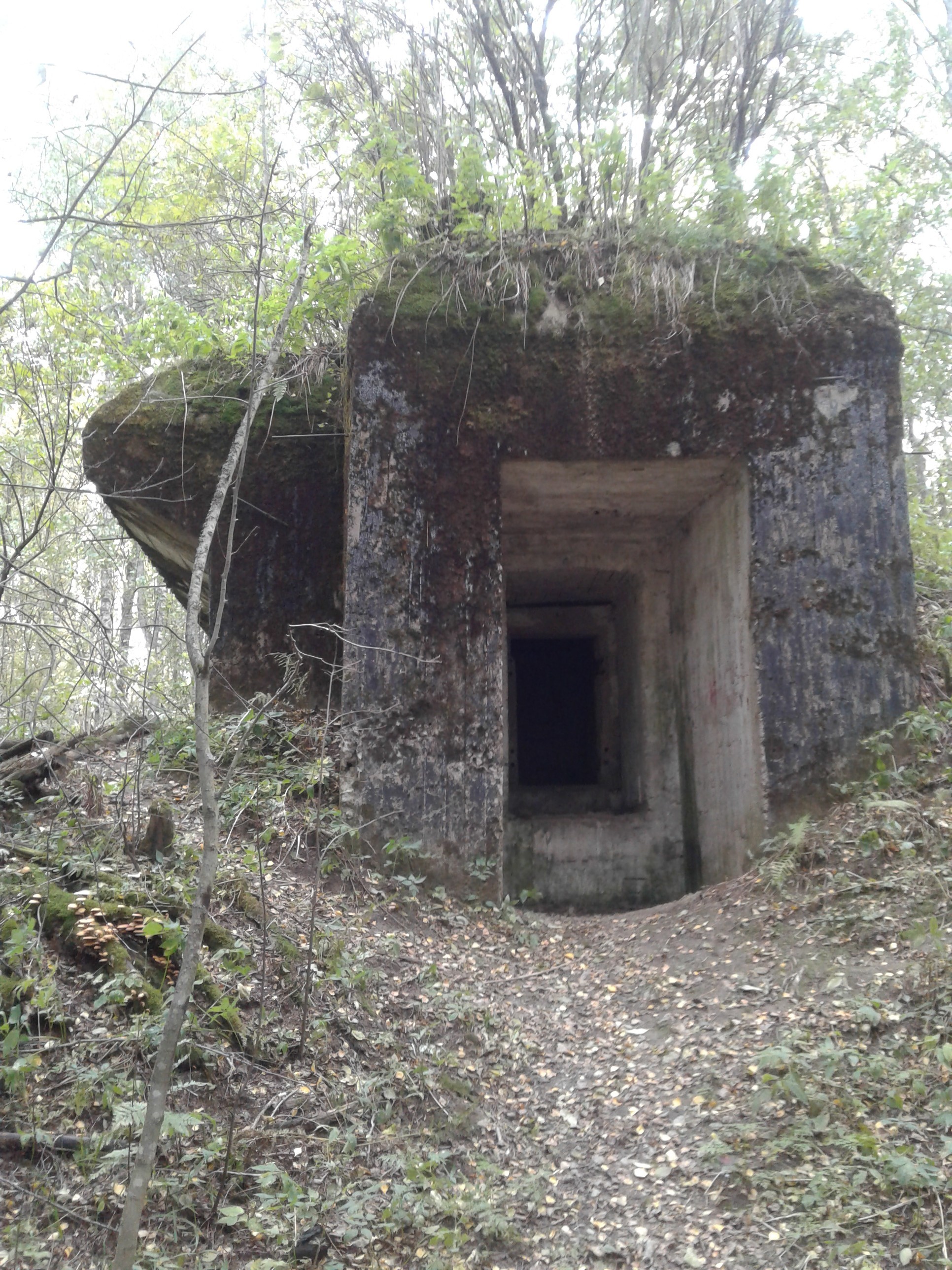 Exploring the Leningrad Region. Heppoyarvi trail - My, Run, Hike, Health Trail, Longpost