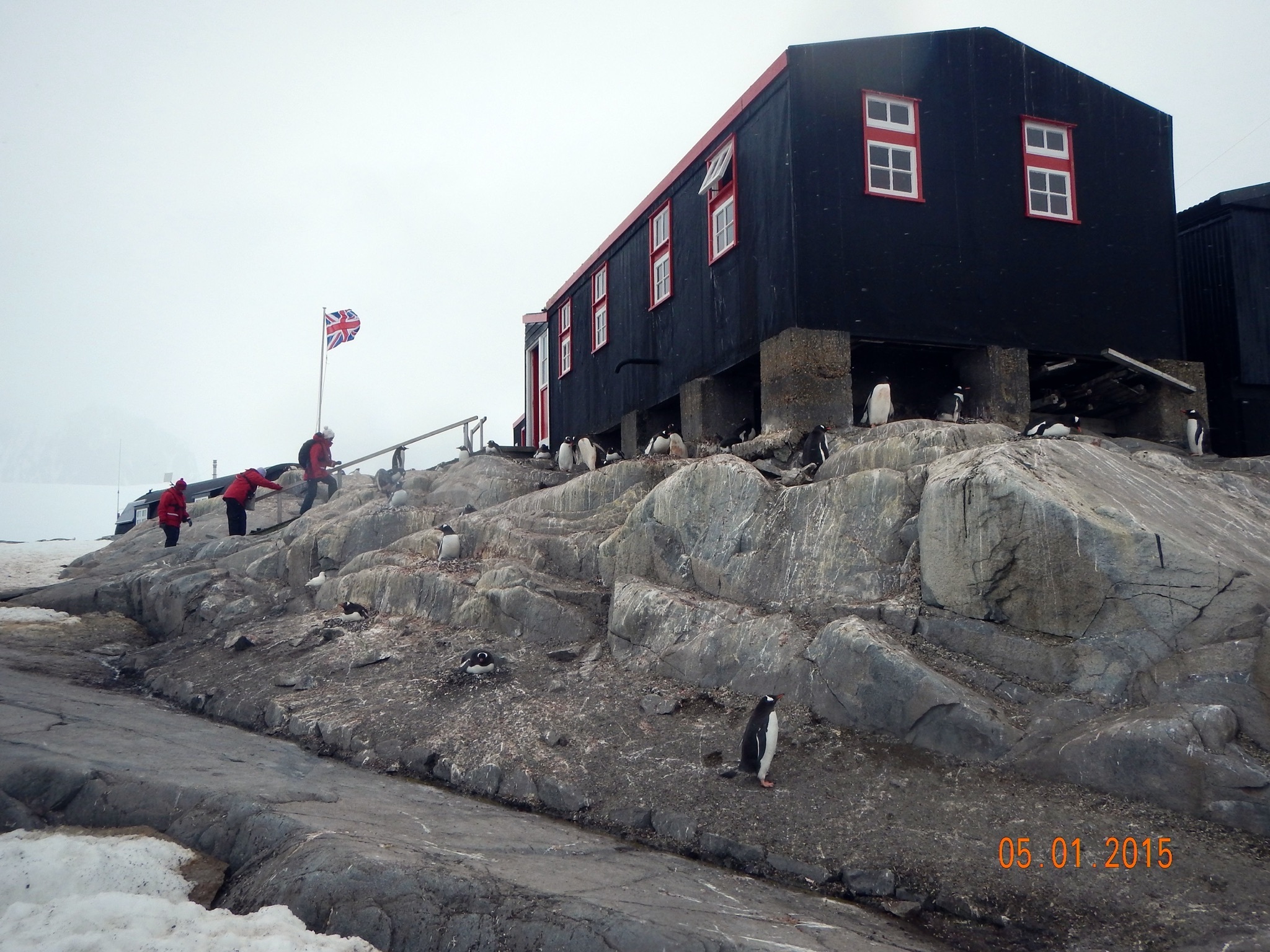 Continuation of the post “Argentina and Antarctica” - My, Argentina, National park, Travels, Antarctica, Tierra del Fuego, Wild animals, Reply to post, Longpost