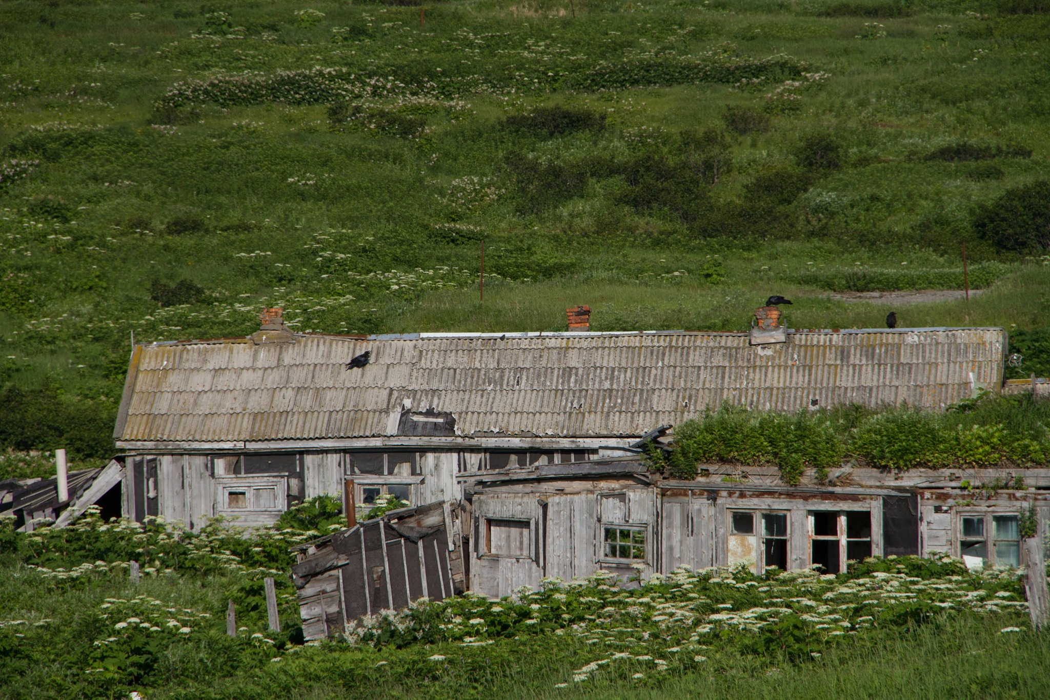 Traveling through the Northern Kuril Islands. Ending - My, Kurile Islands, Travels, Tourism, Russia, Longpost