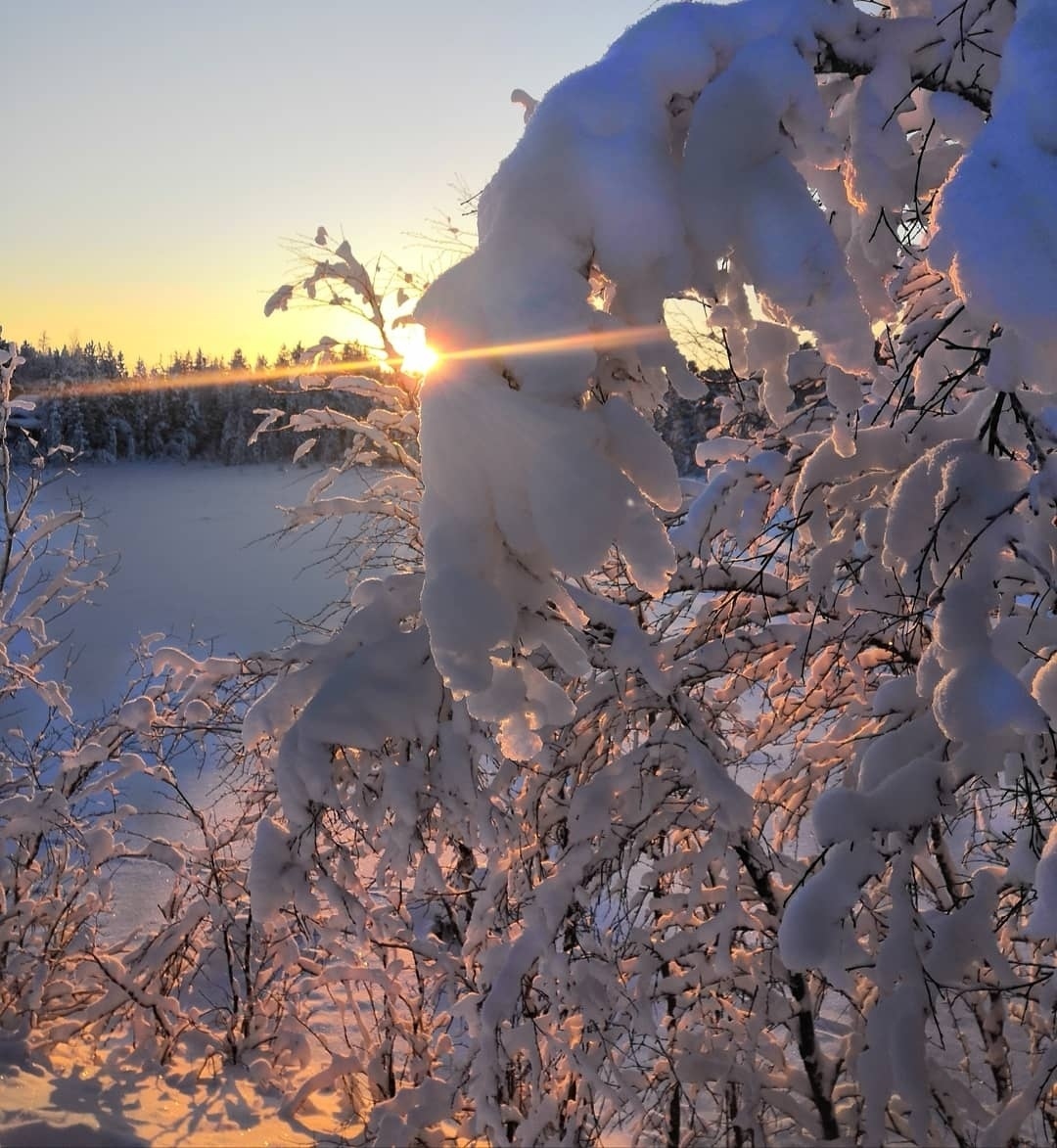 Winter in the Murmansk region - My, Winter, Snow, polar night, Sun rays, The photo, Landscape, Longpost