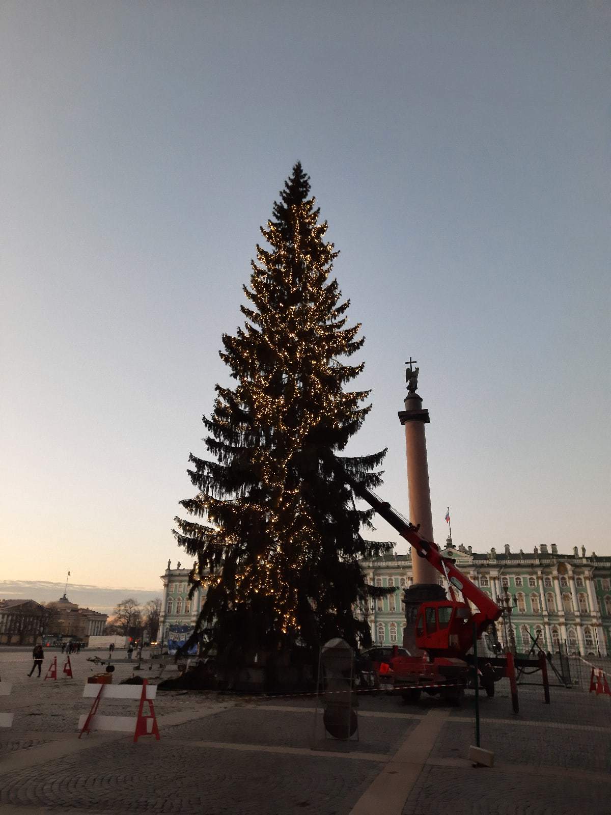 Живая ель. СПб, Дворцовая площадь, 10 декабря 2020. Съёмка во время  украшение ёлки | Пикабу