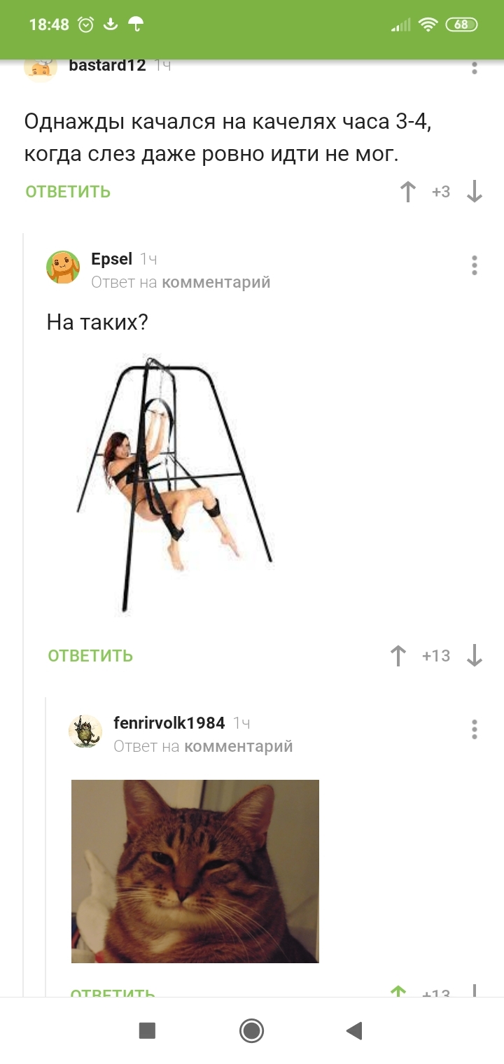 On a swing - Comments on Peekaboo, Swing, cat, Longpost