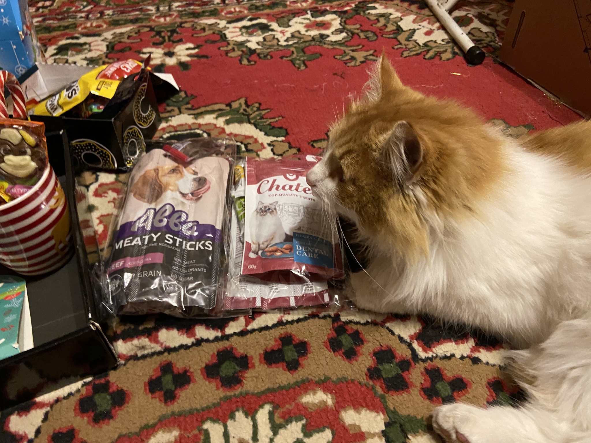 Crazy exchange from Mirrochka. Moscow - Belgorod - My, Gift exchange report, New Year's exchange from Mirrochka, Secret Santa, Longpost, New Year's gift exchange, Gift exchange, cat