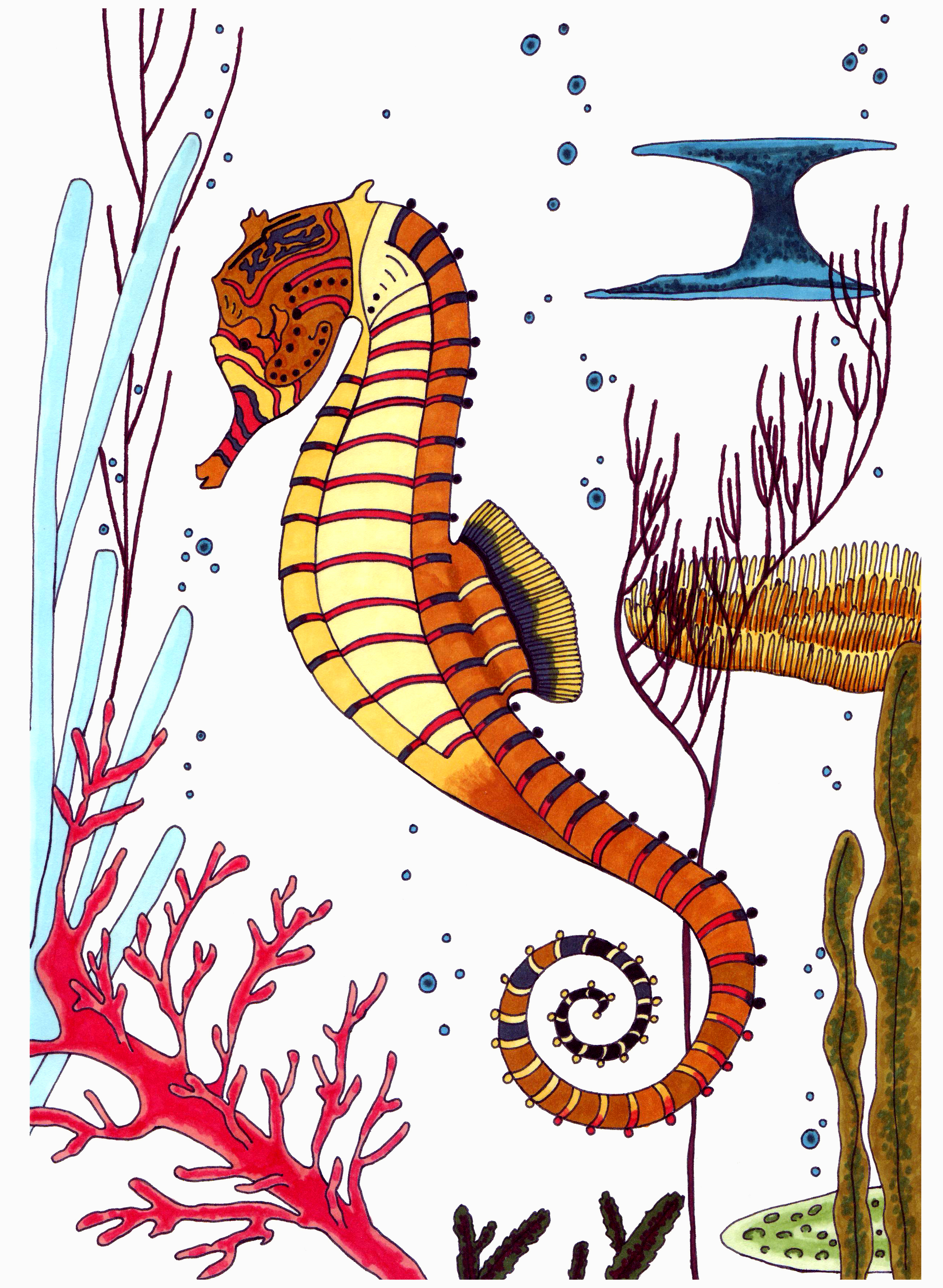 Sea Horse - My, Illustrations, Sea Horse, Underwater world