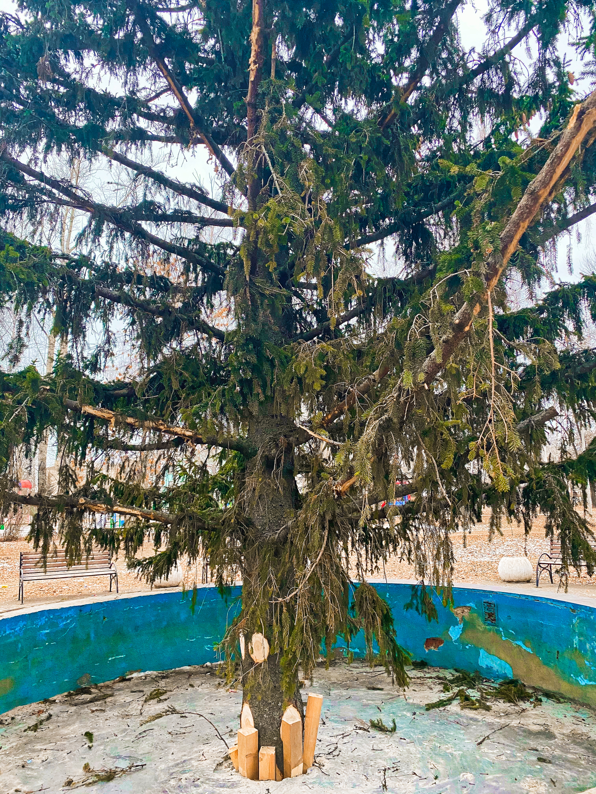 Guess the country or the Christmas tree in the fountain - My, Christmas trees, Holidays, Sad holiday, New Year, Town, Fountain, So it was possible?, It happened, Vital, Russia, Christmas tree, Ryazan Oblast, Longpost, Fail