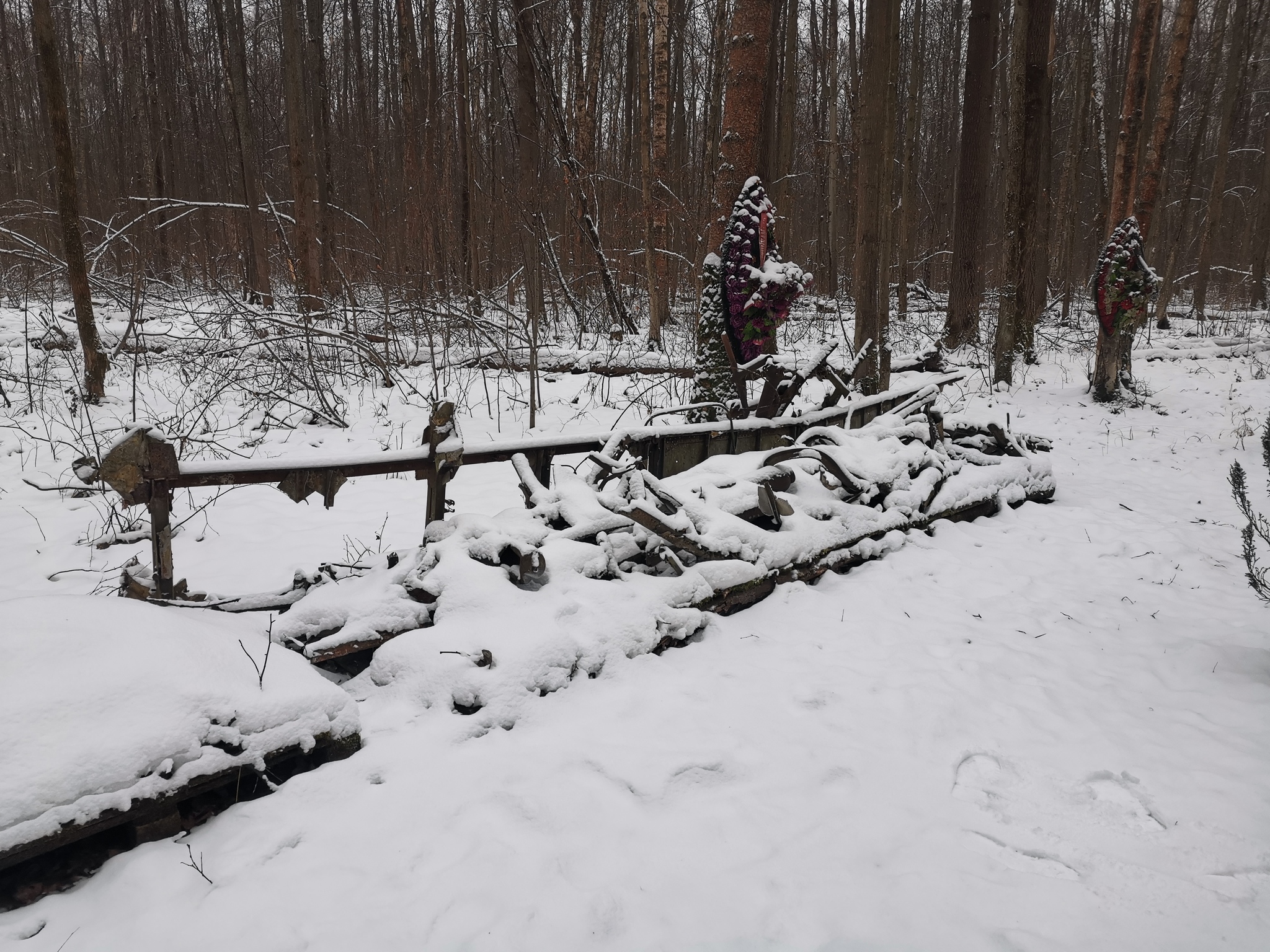 Winter rides, this - My, Pokatushki, A bike, Winter, Snow, Road, Forest, Longpost