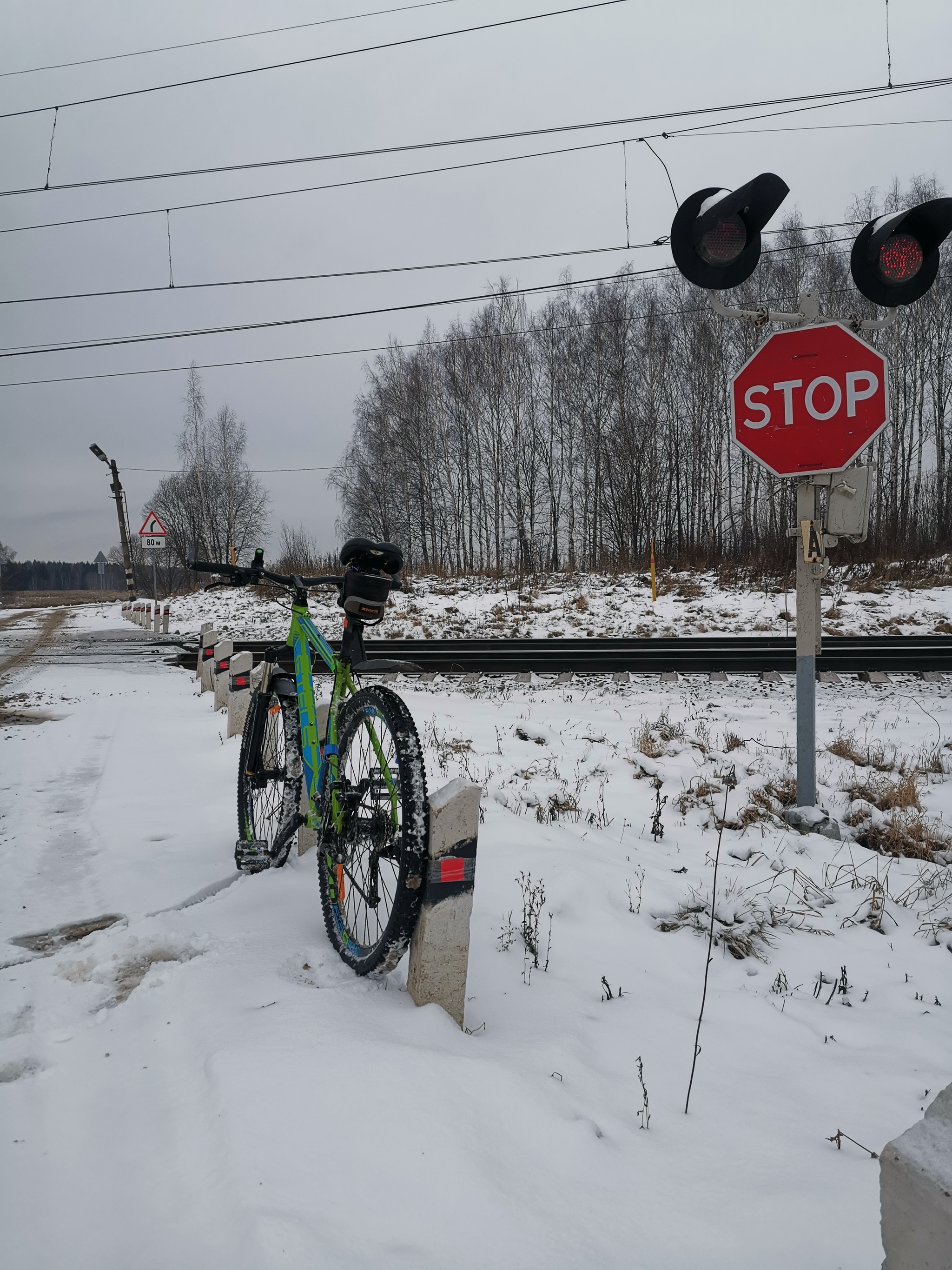 Winter rides, this - My, Pokatushki, A bike, Winter, Snow, Road, Forest, Longpost