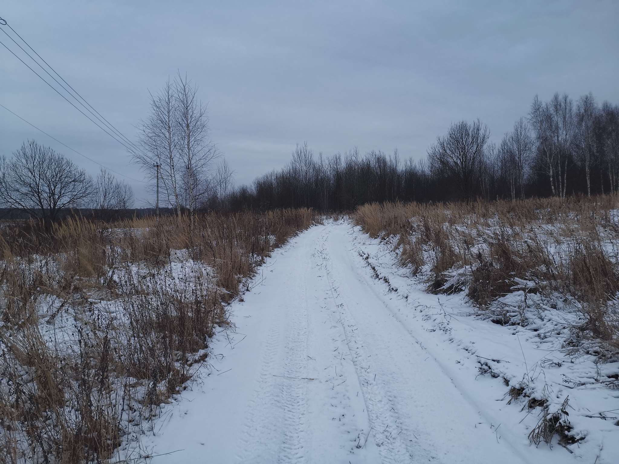 Winter rides, this - My, Pokatushki, A bike, Winter, Snow, Road, Forest, Longpost