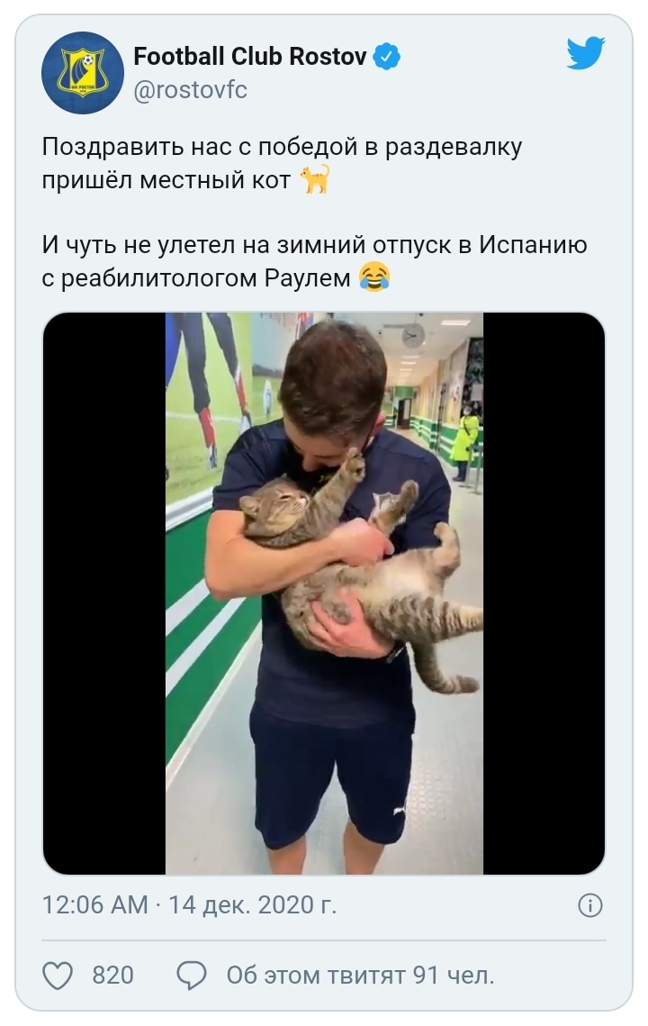 Cuteness of the day from the football club Rostov - Milota, cat, Fk Rostov, Twitter, Vertical video, Kindness, Video, Longpost, Football