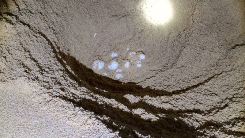 A sea turtle laid eggs on Bang Kwan Beach in Phang Nga Province - Thailand, Sea turtles, Eggs, Beach, Phang Nga, Longpost