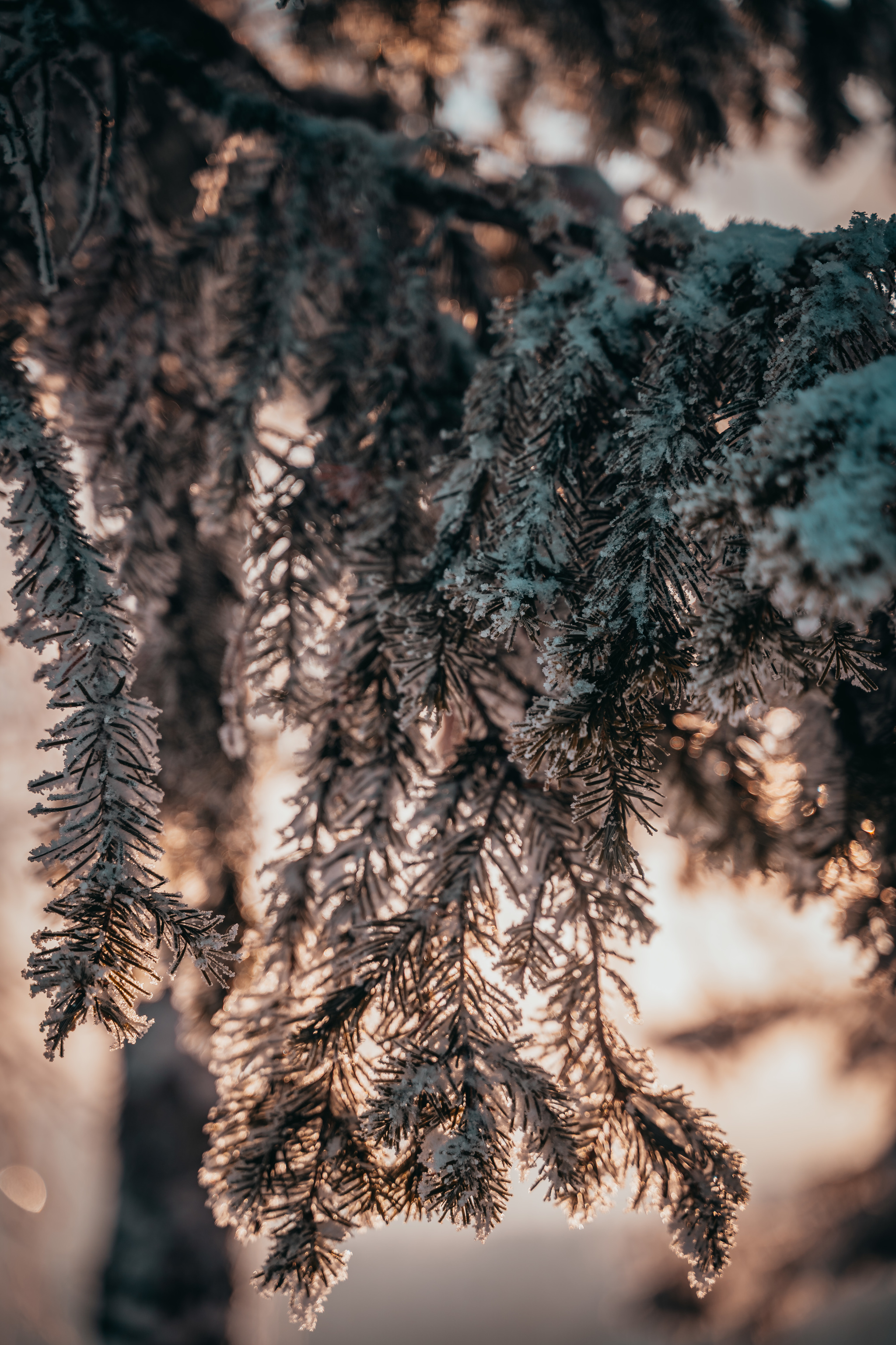 Beauty of the Urals - My, Ural, Winter, Nature, Forest, Usva pillars, Snow, River, Longpost, The photo