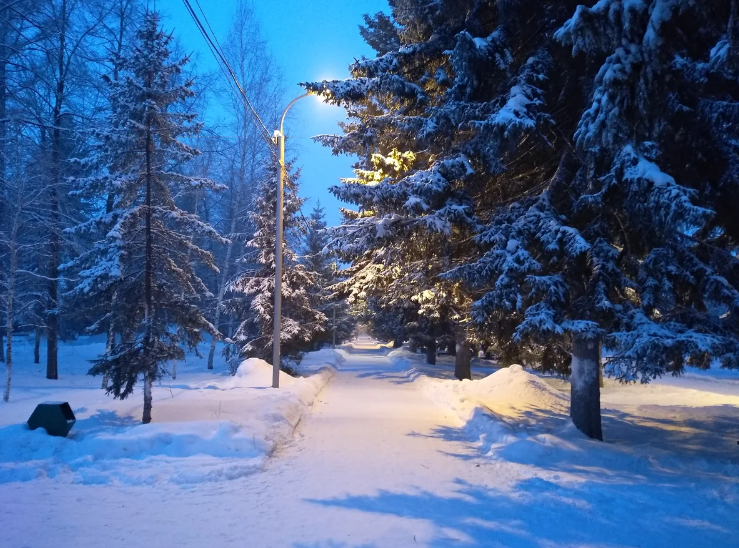 Waxwing falls and winter thunderstorms: temperature records for the Novosibirsk winter in the entire history of the city - My, Winter, Siberia, freezing, Nature, Record, Longpost