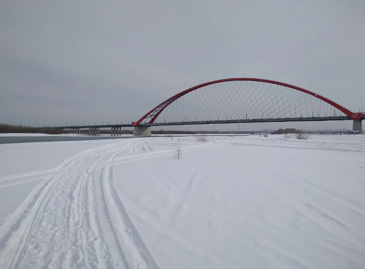 Waxwing falls and winter thunderstorms: temperature records for the Novosibirsk winter in the entire history of the city - My, Winter, Siberia, freezing, Nature, Record, Longpost