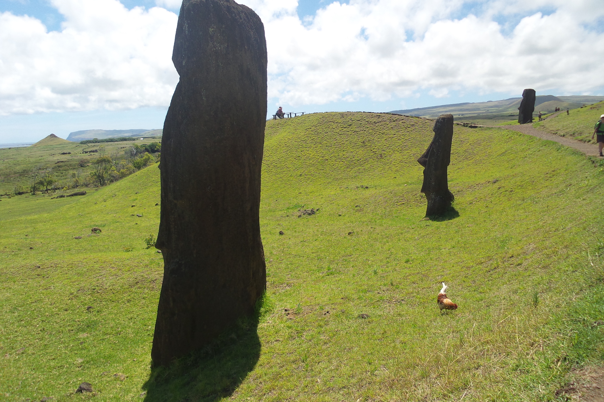 Latin American Tick - Easter Island (14-15.12.2019) - ending - My, Travels, South America, Tourism, Longpost