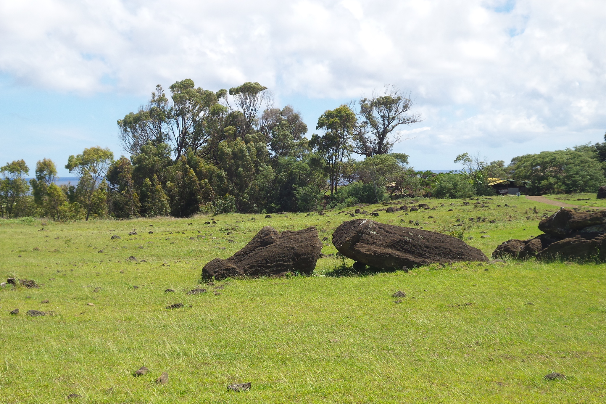 Latin American Tick - Easter Island (14-15.12.2019) - ending - My, Travels, South America, Tourism, Longpost