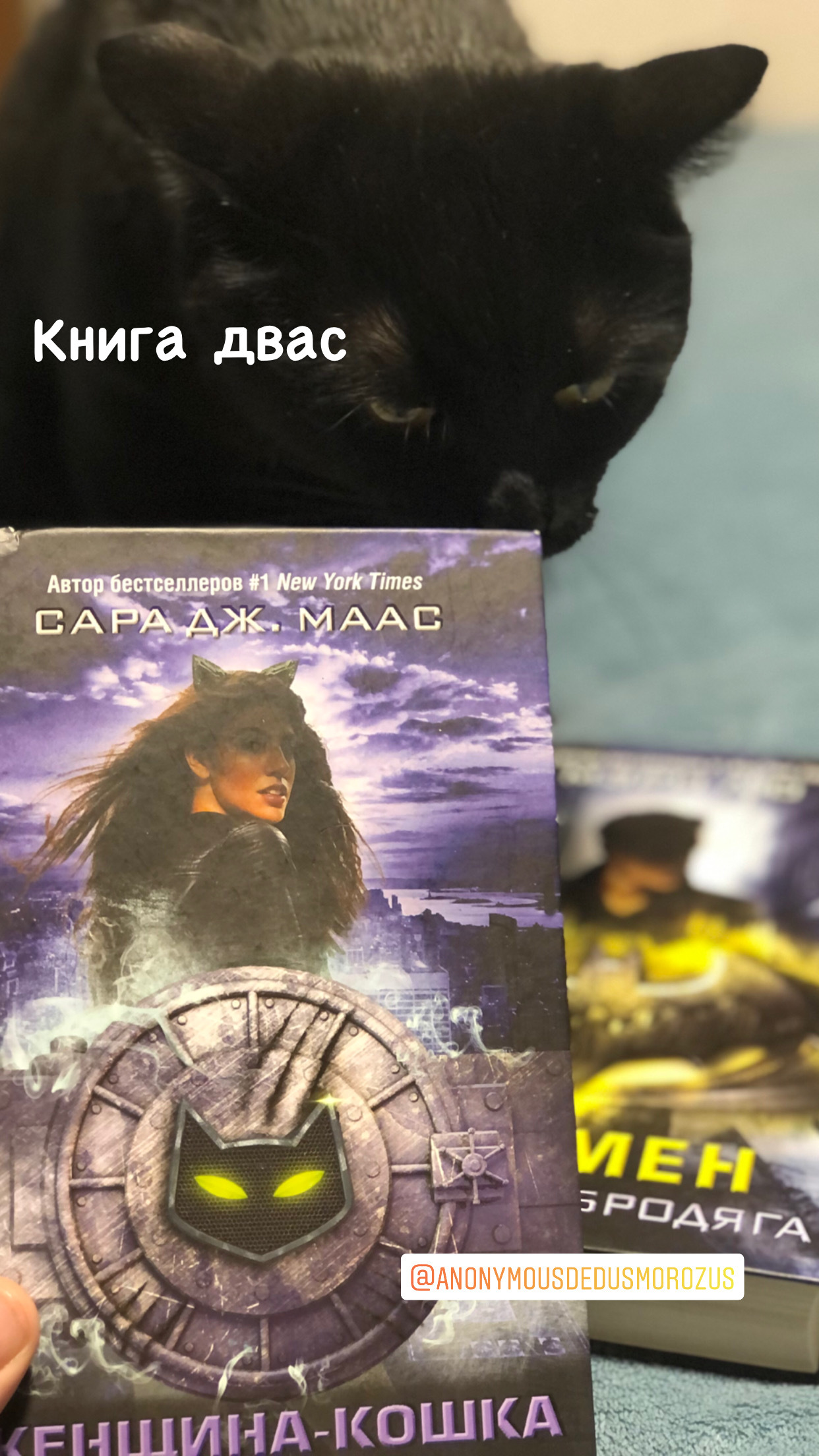 ADM Kazan-Ekaterinburg - My, Secret Santa, Fat cats, Gift exchange, Dc comics, Longpost