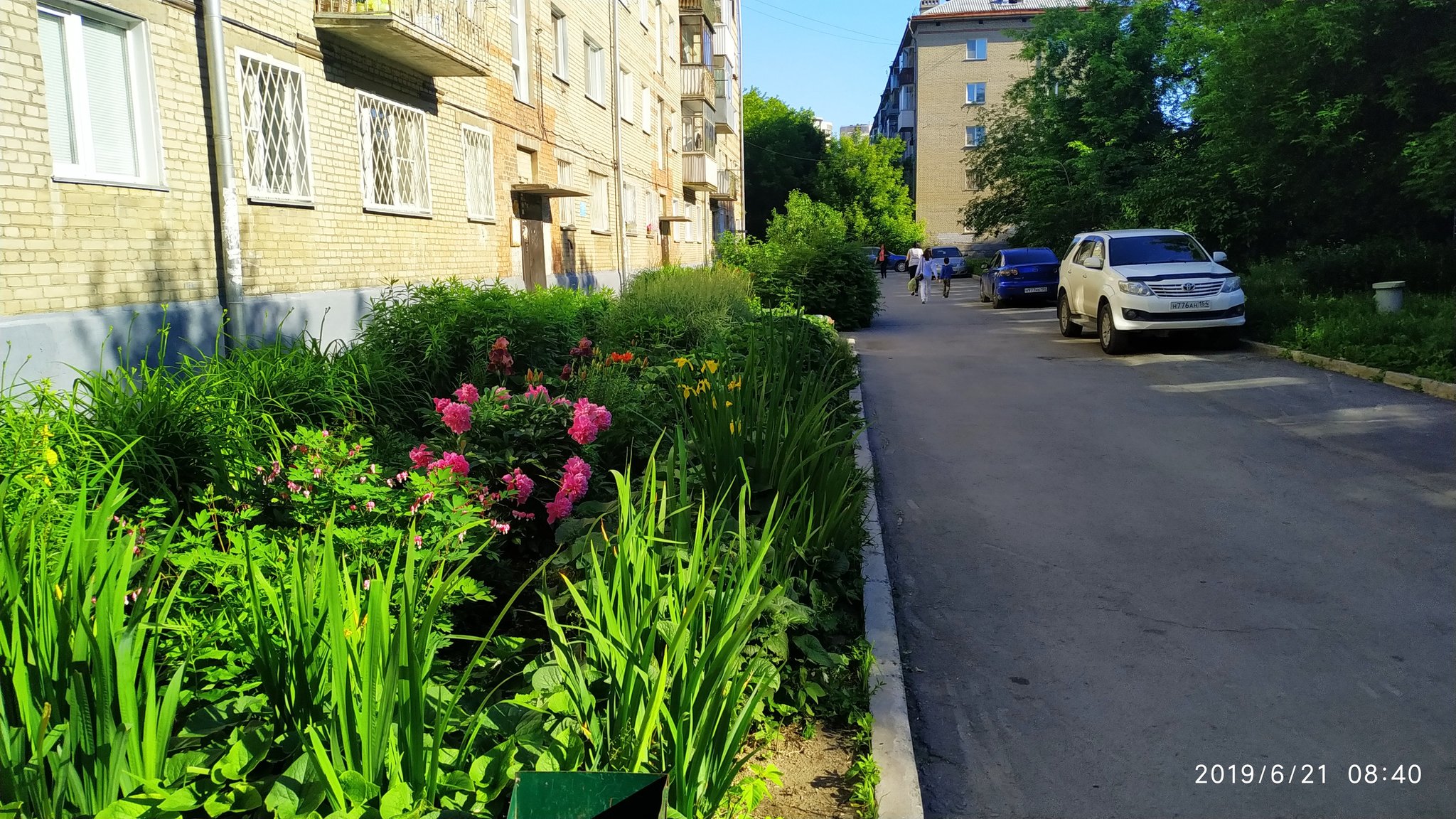 Typical Russian courtyards, plus residents who don't care - My, Courtyard, Flowers