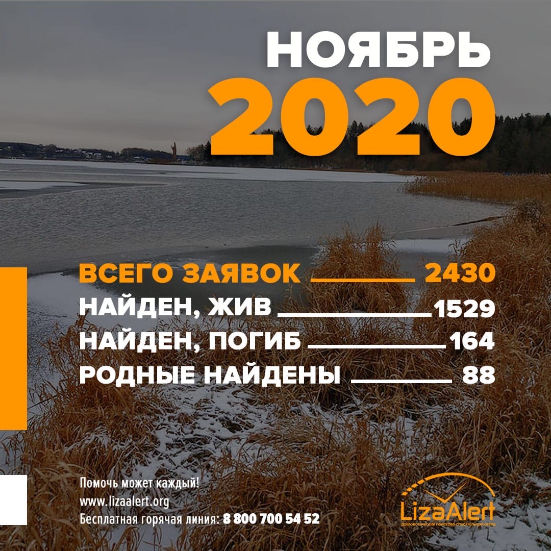 Статистика отряда «ЛизаАлерт» за ноябрь 2020 года - Моё, Лиза Алерт, Поиск людей, Добровольцы, Статистика