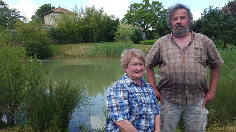 The court ordered the French couple to drain their pond with too loud frogs! - Frogs, Pond, Conflict, Court, Rare view, Ecologists, France, Village, Troubled neighbors, The national geographic, Longpost